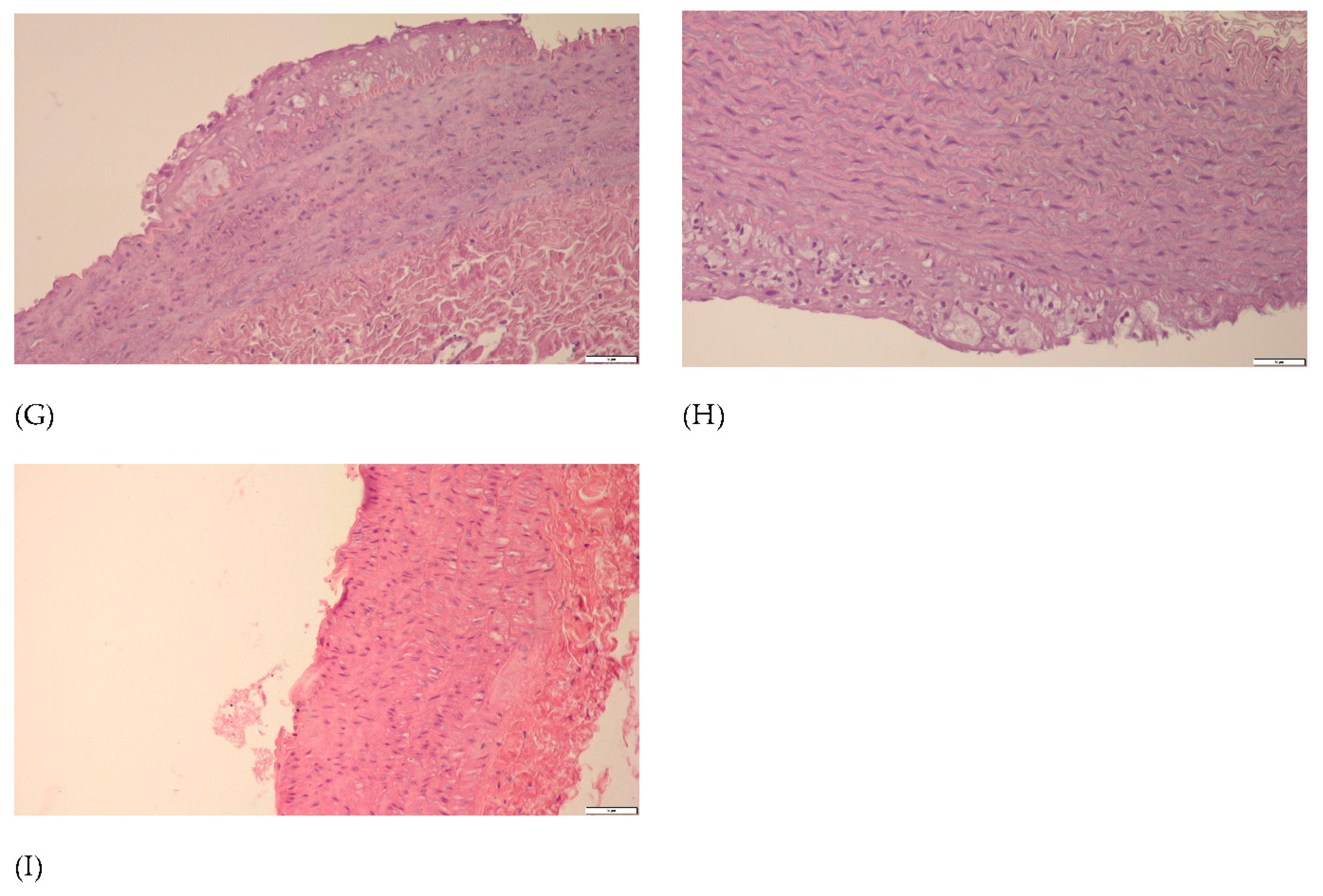 Nutrients 13 03621 g008b