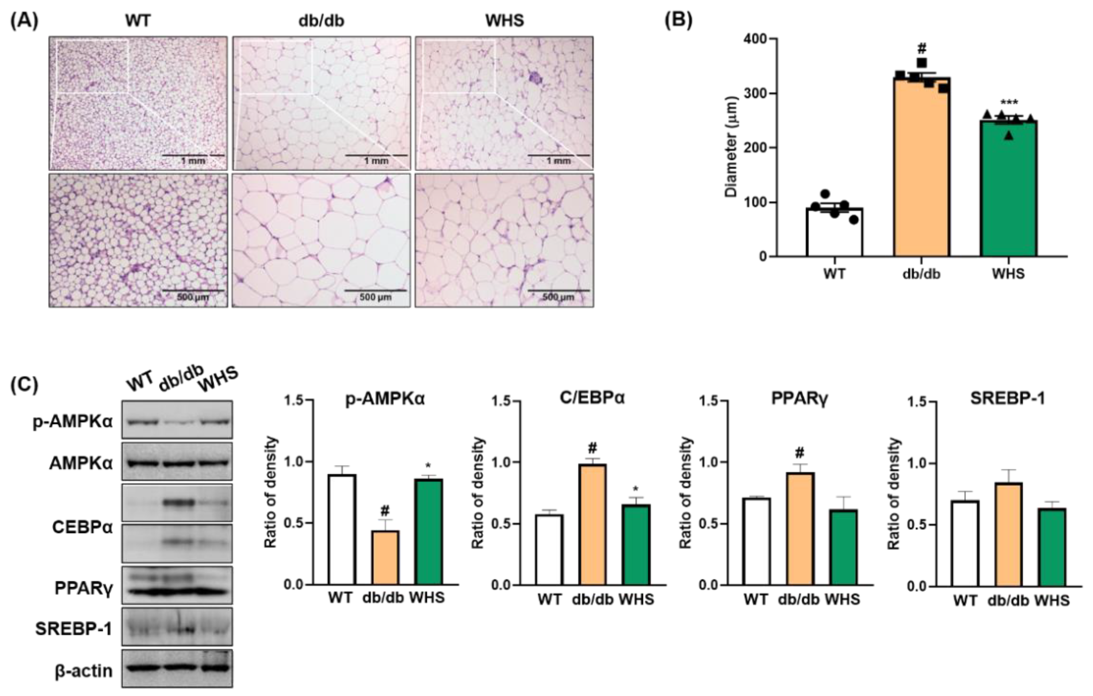 Nutrients 13 03624 g004