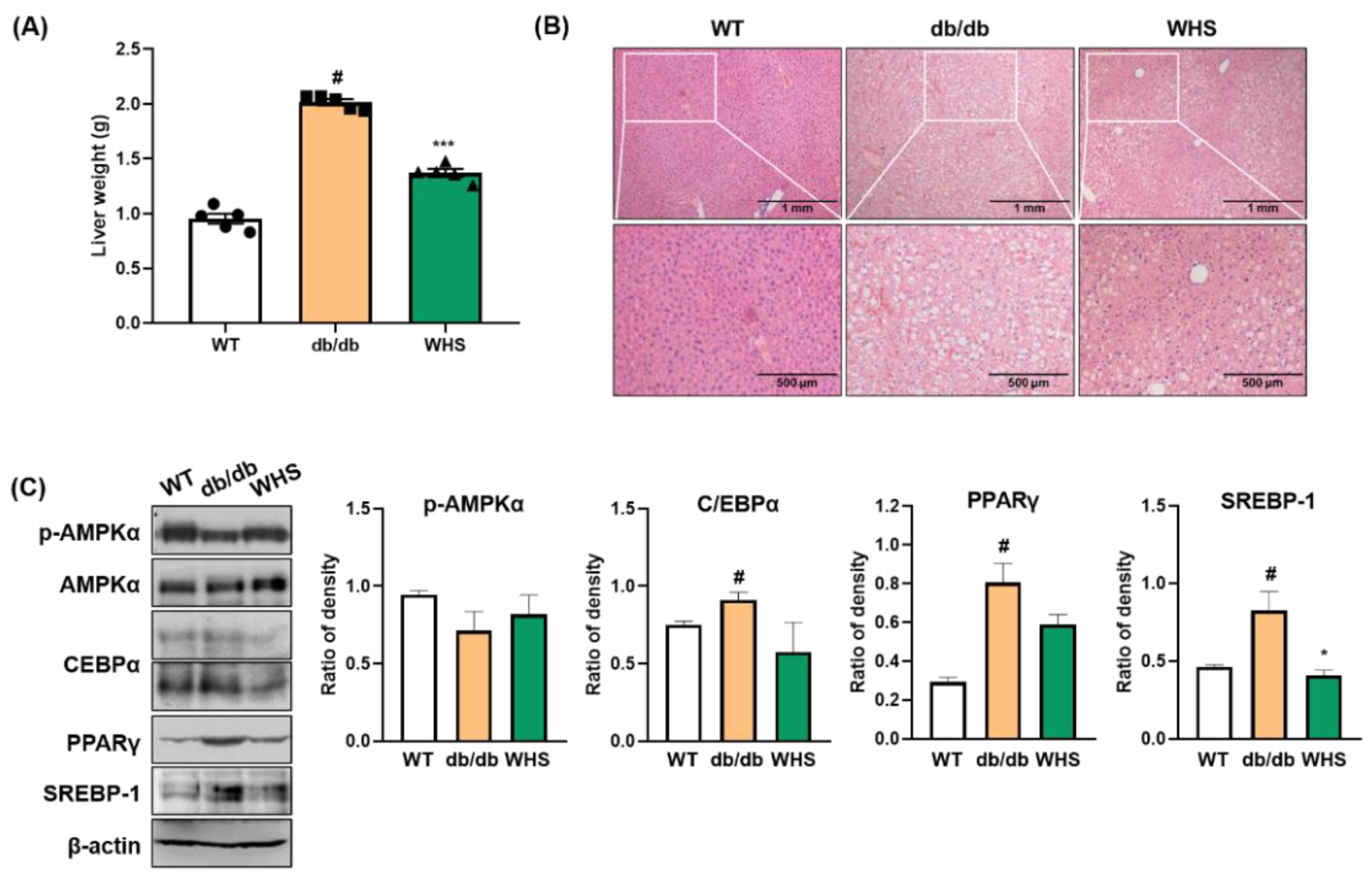 Nutrients 13 03624 g005