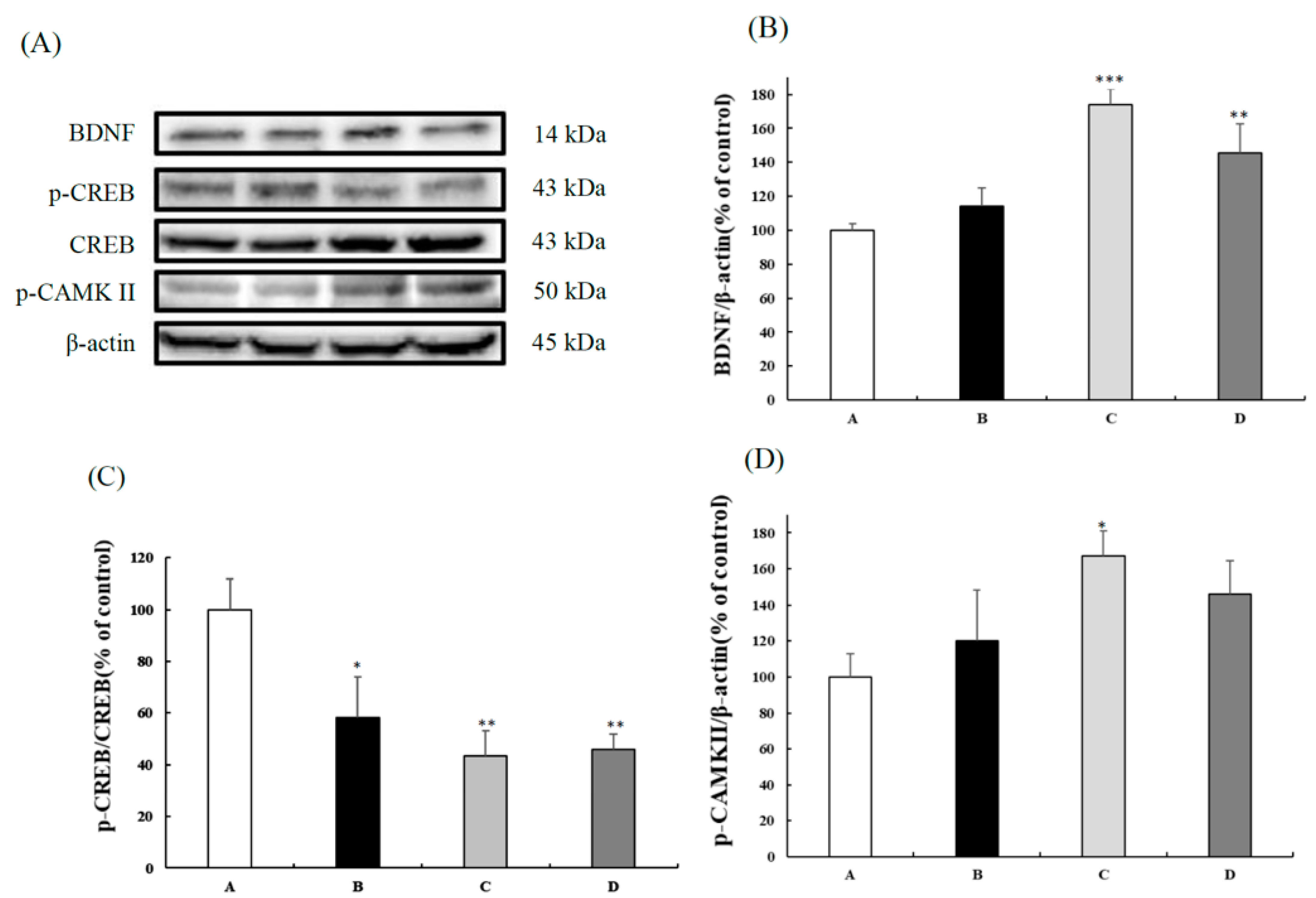 Nutrients 13 03652 g002