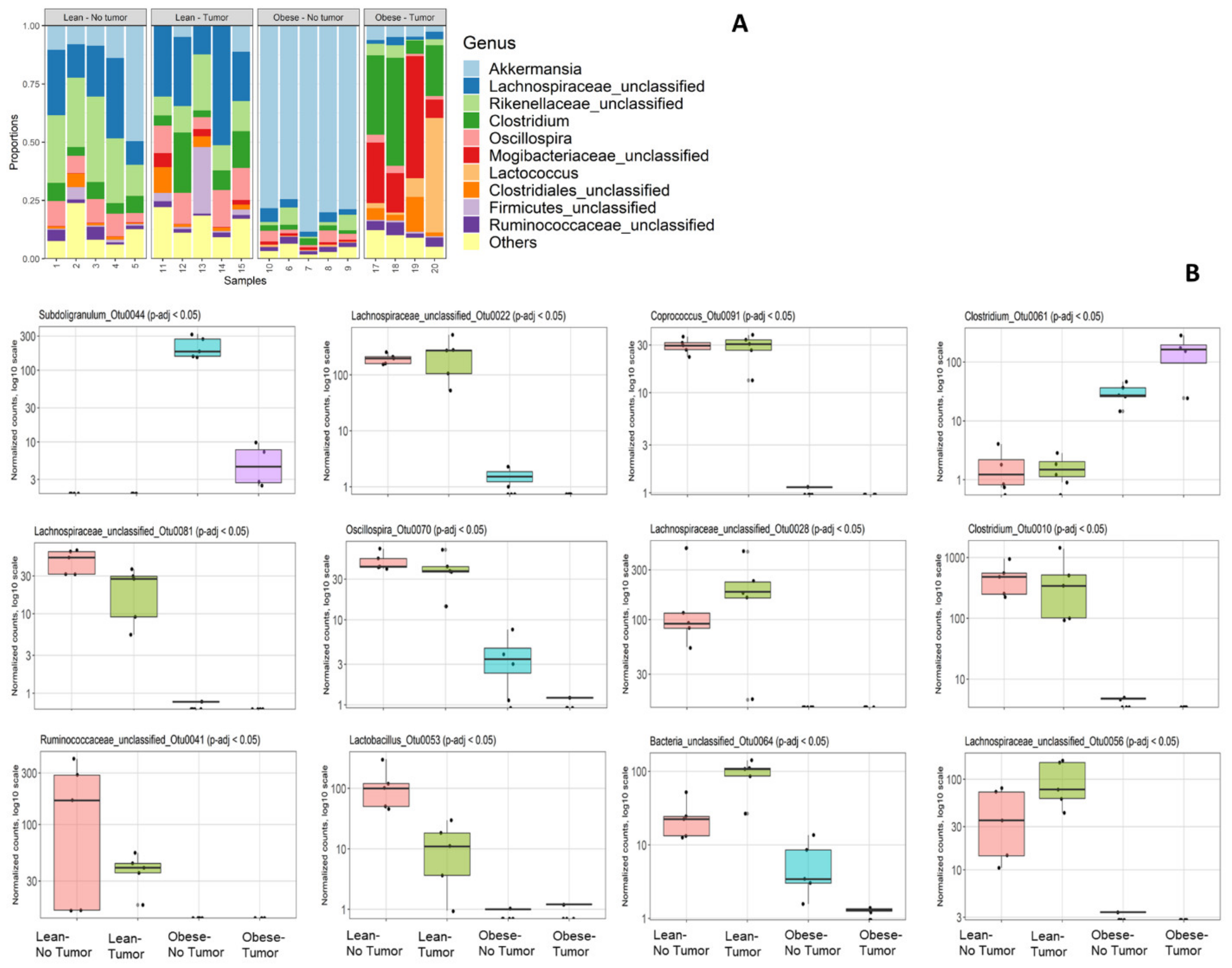 Nutrients 13 03656 g001