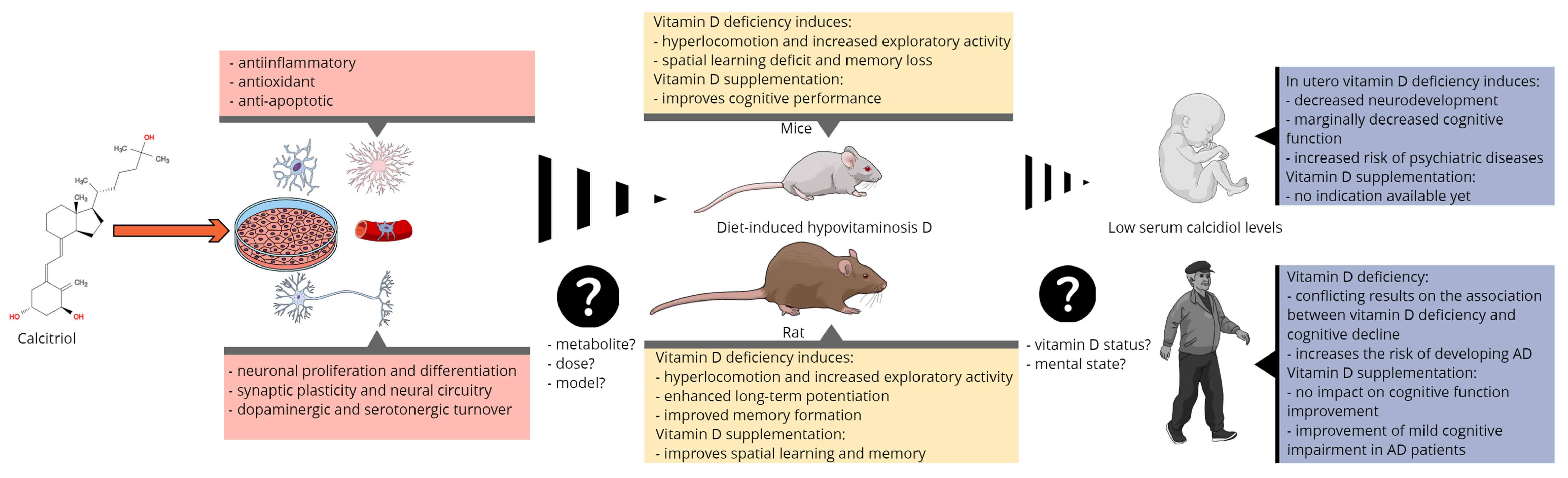 Nutrients 13 03672 g002 Nutrients 13 03672 g002