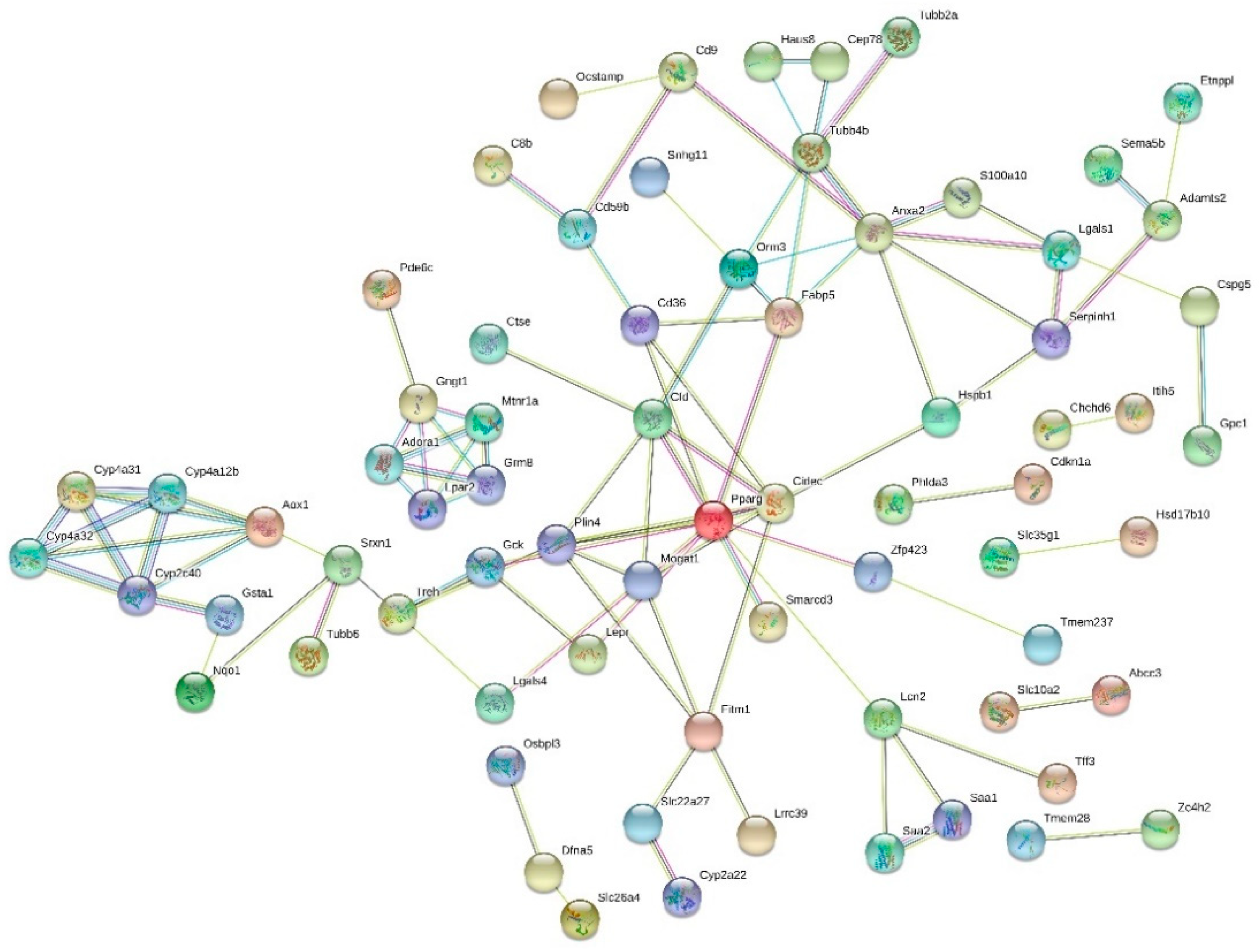 Nutrients 13 03693 g004 Nutrients 13 03693 g004