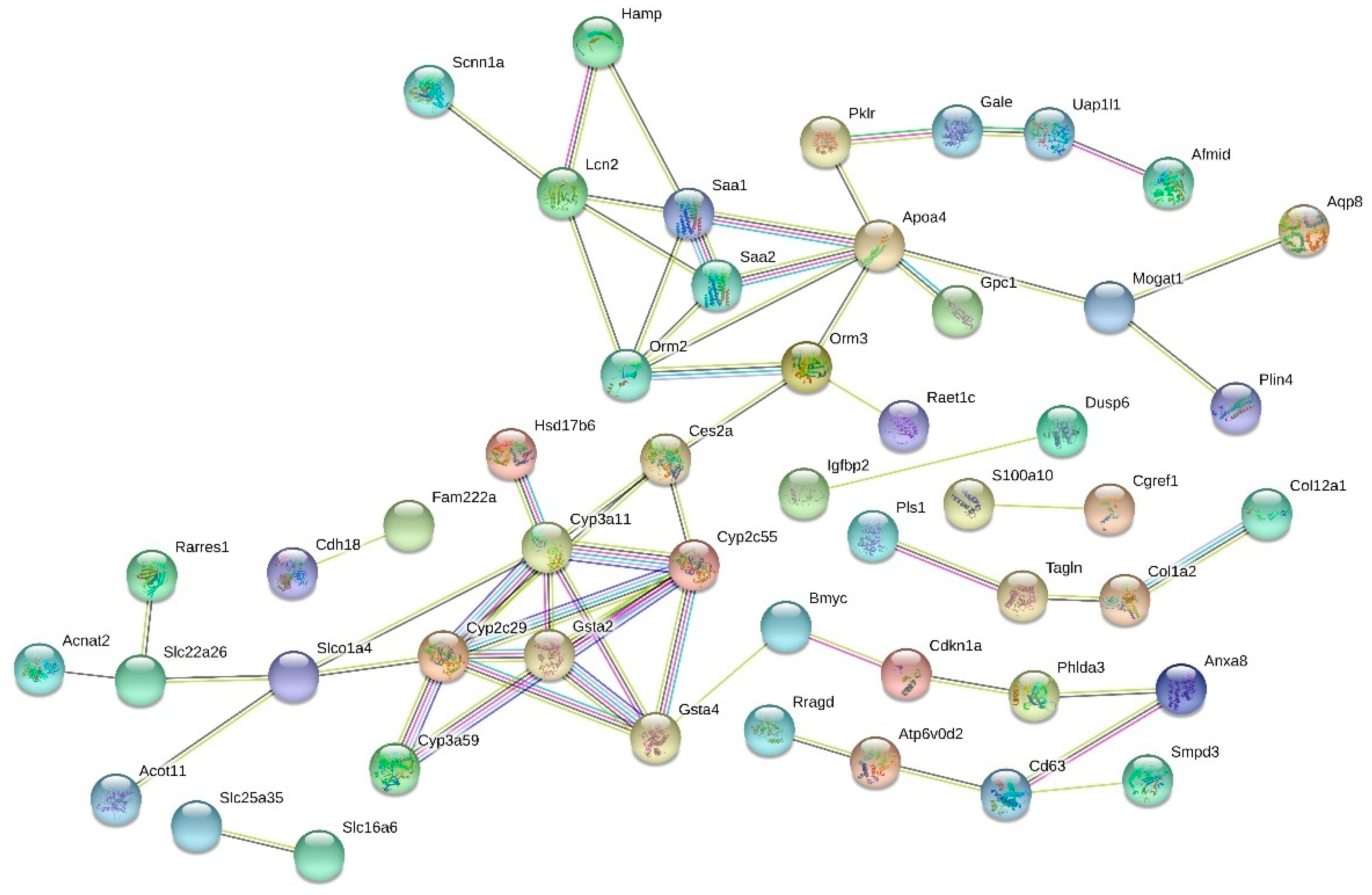Nutrients 13 03693 g005 Nutrients 13 03693 g005