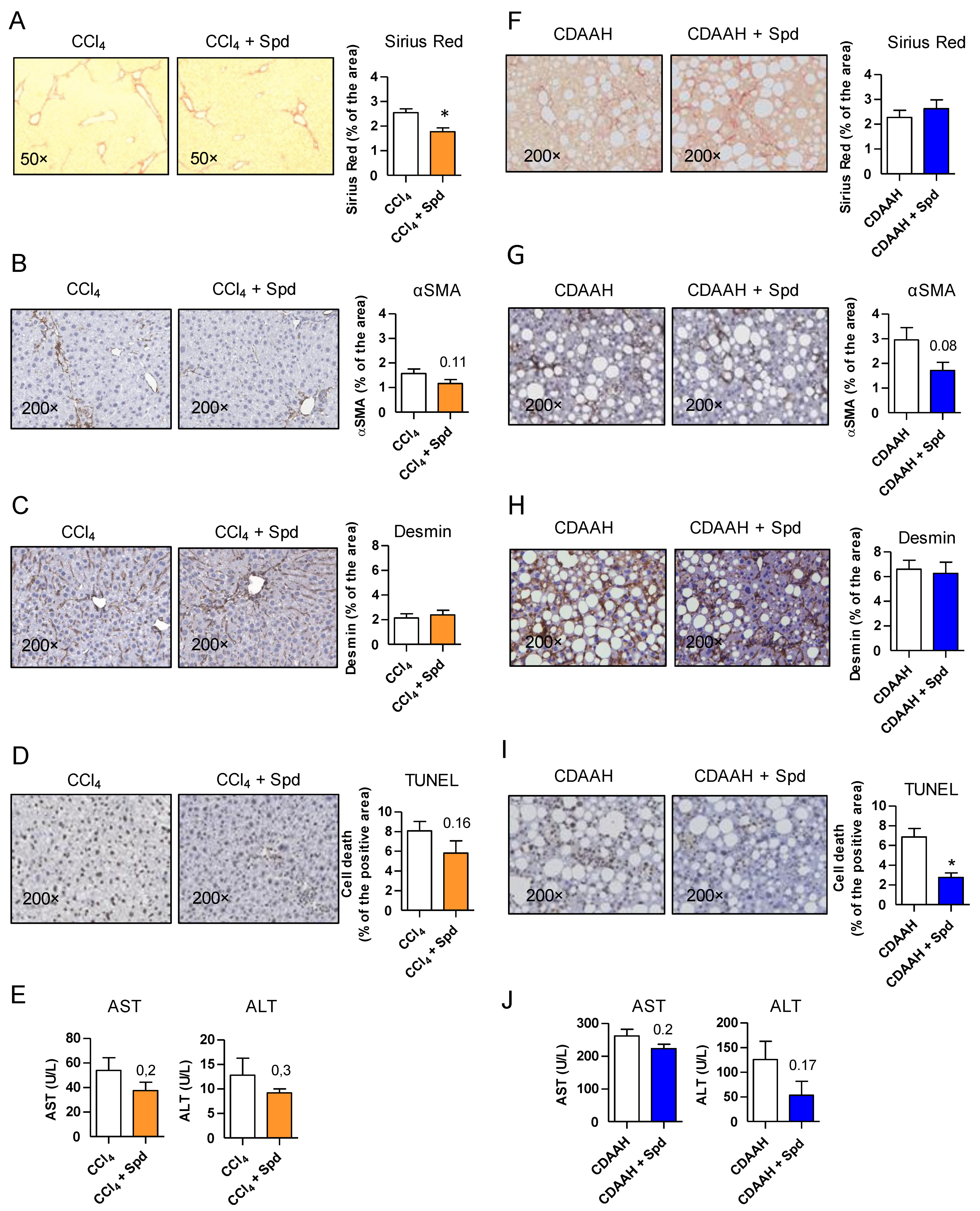 Nutrients 13 03700 g002