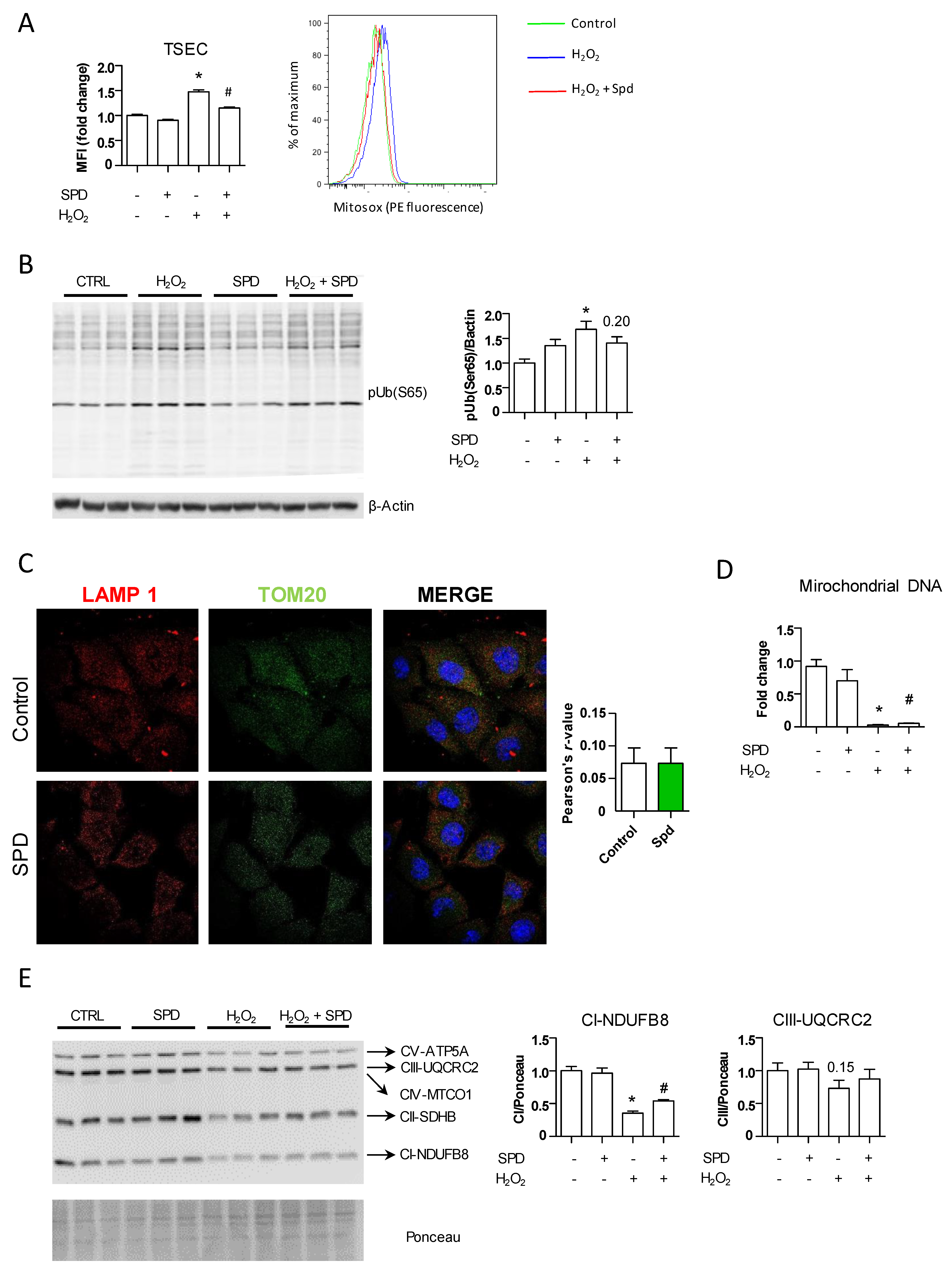 Nutrients 13 03700 g003