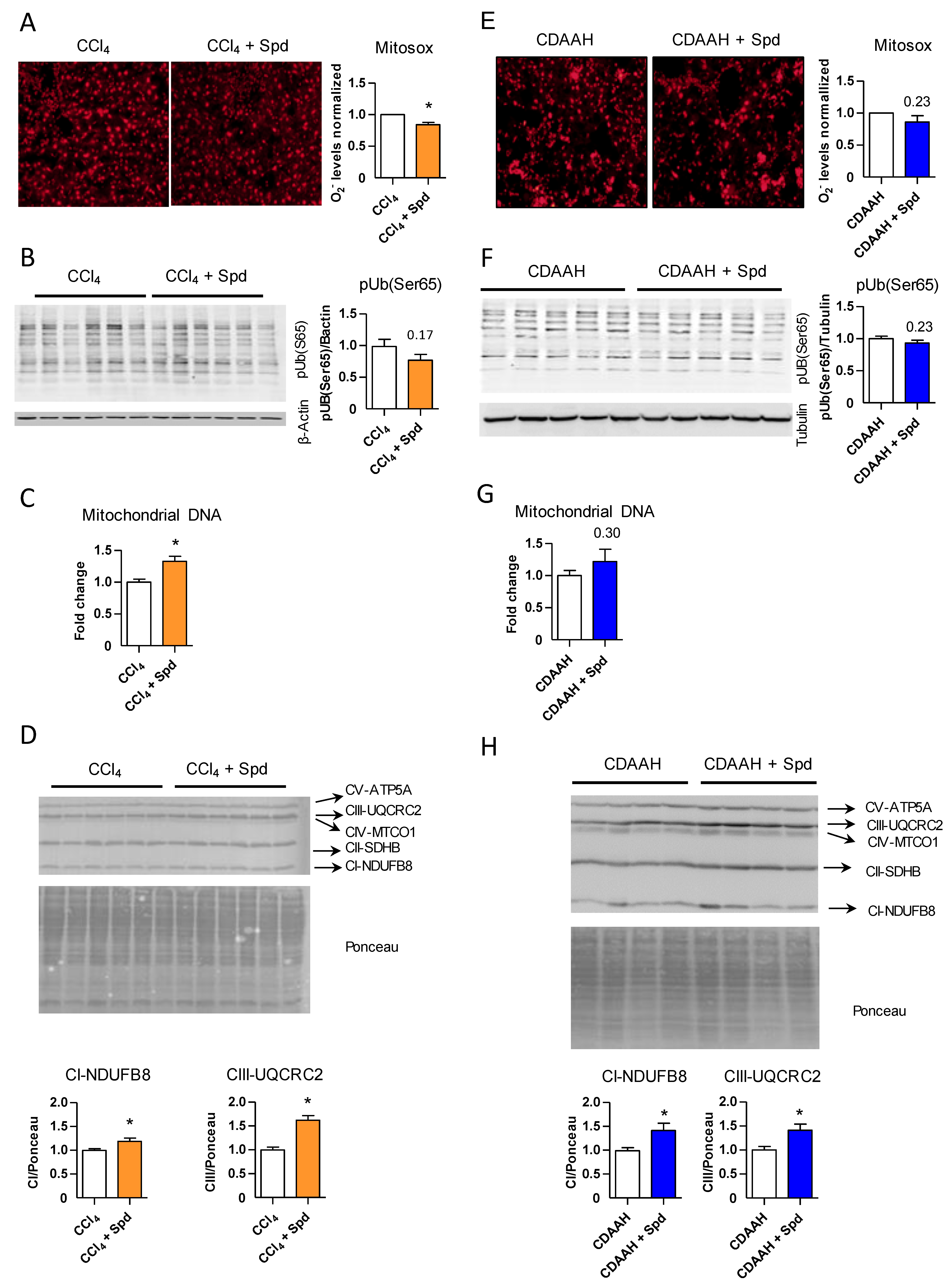 Nutrients 13 03700 g004