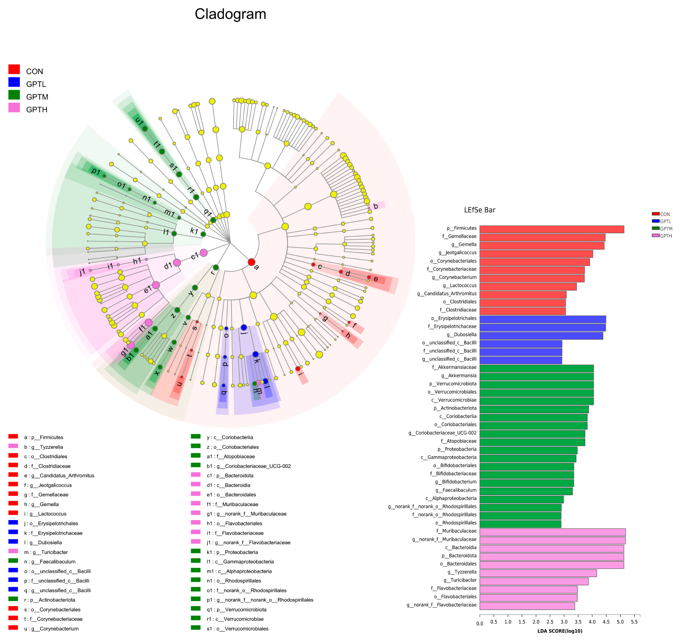 Nutrients 13 03715 g007 Nutrients 13 03715 g007