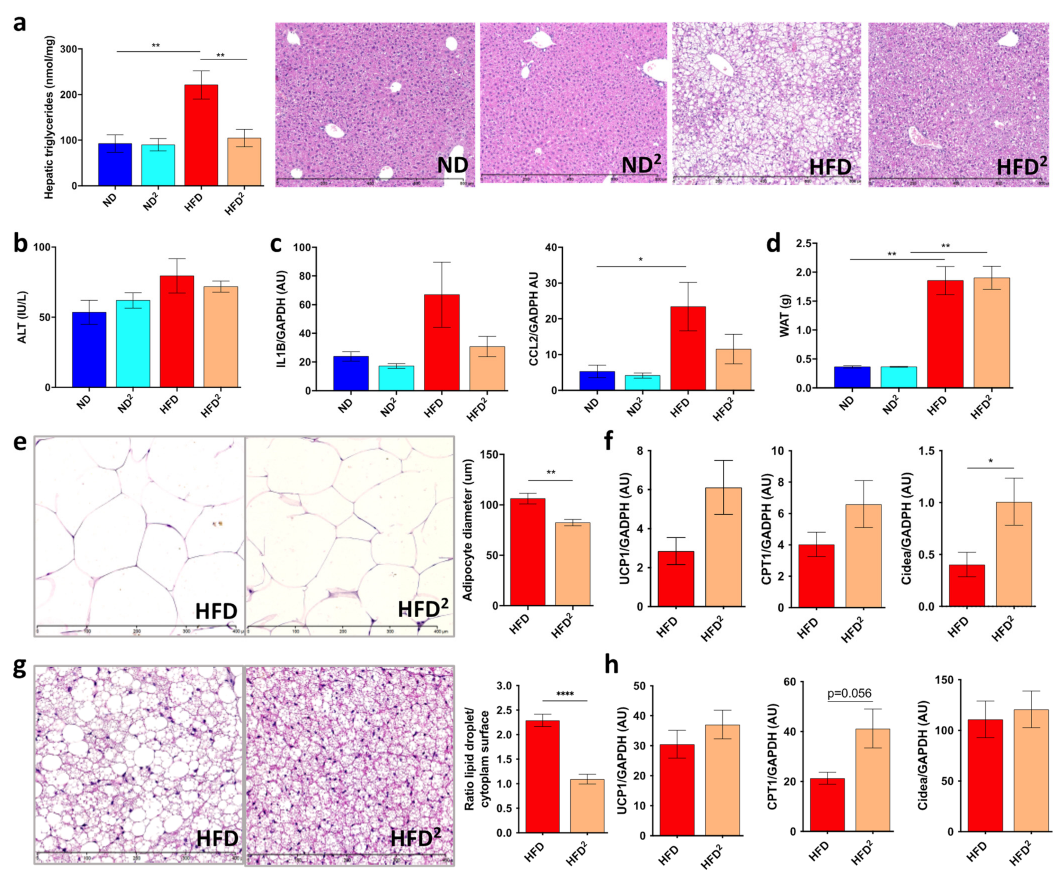 Nutrients 13 03725 g001