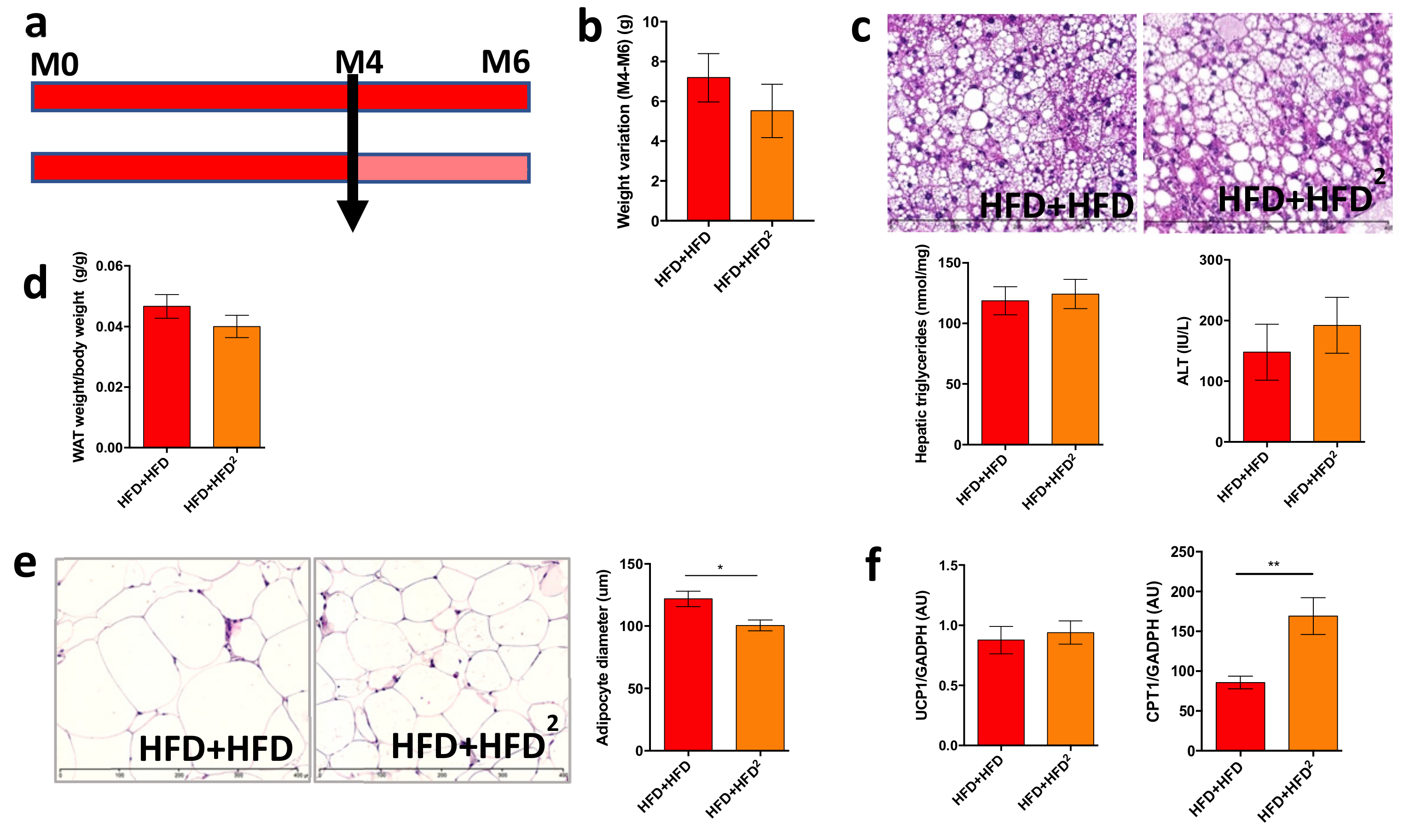 Nutrients 13 03725 g003