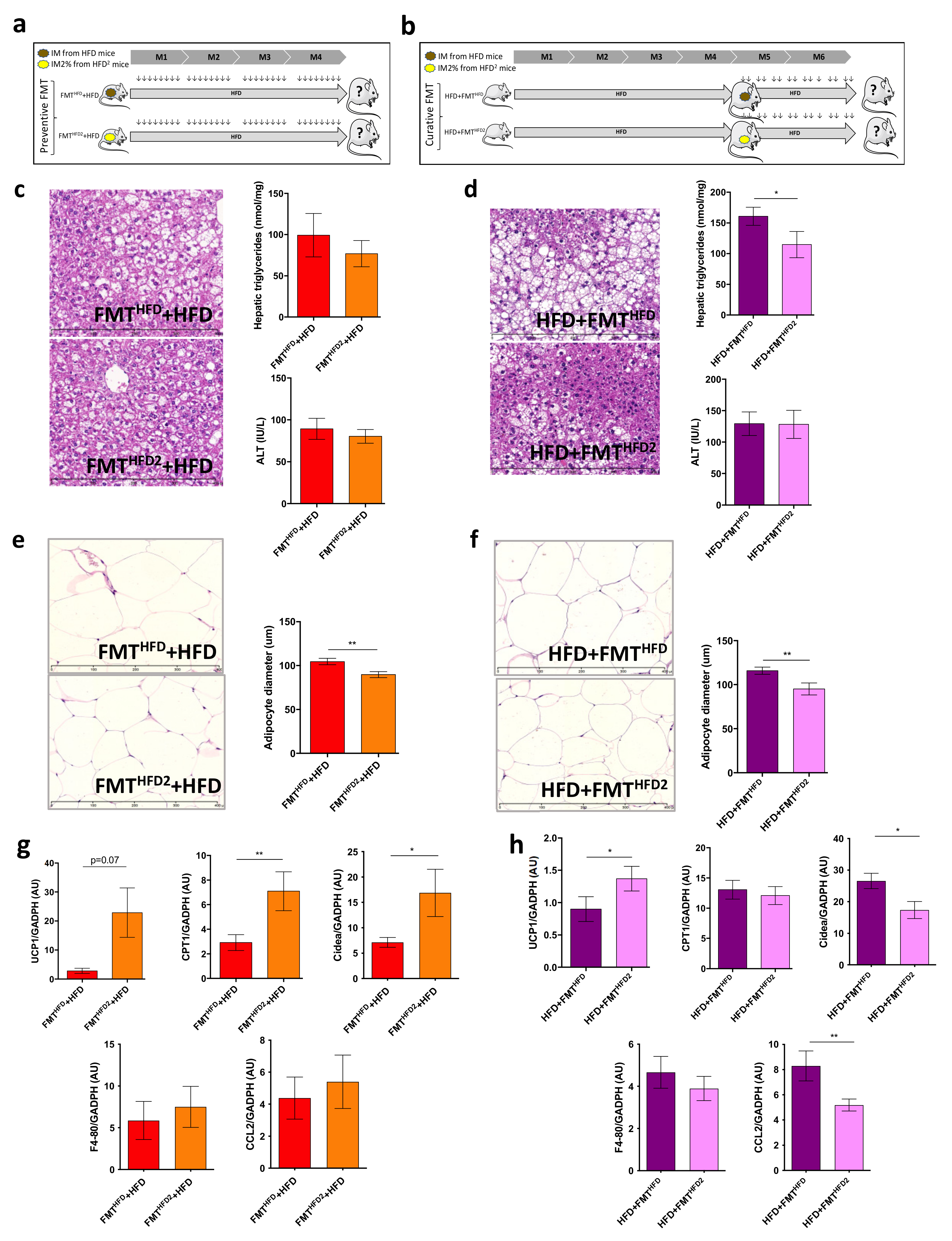 Nutrients 13 03725 g005