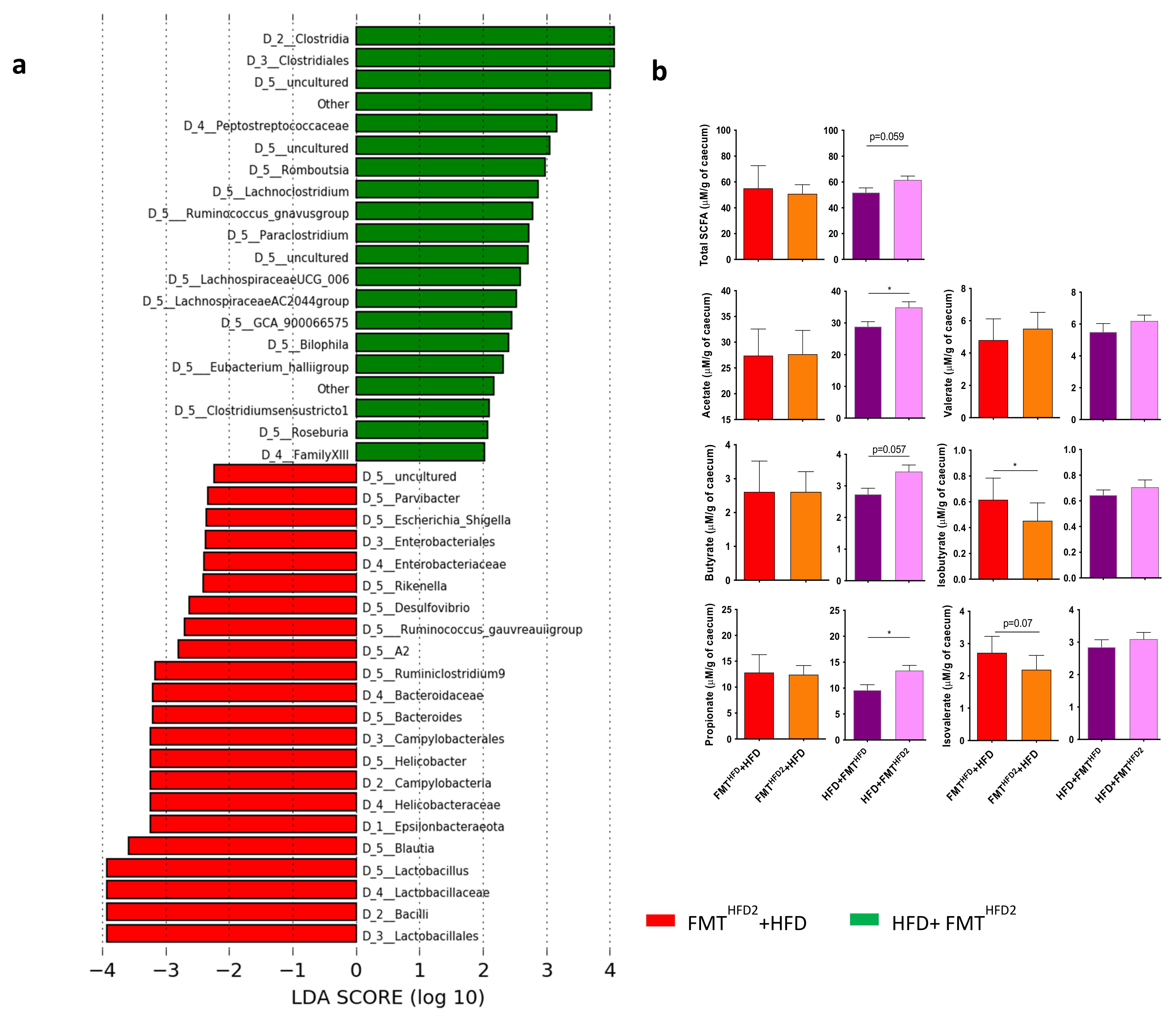 Nutrients 13 03725 g007