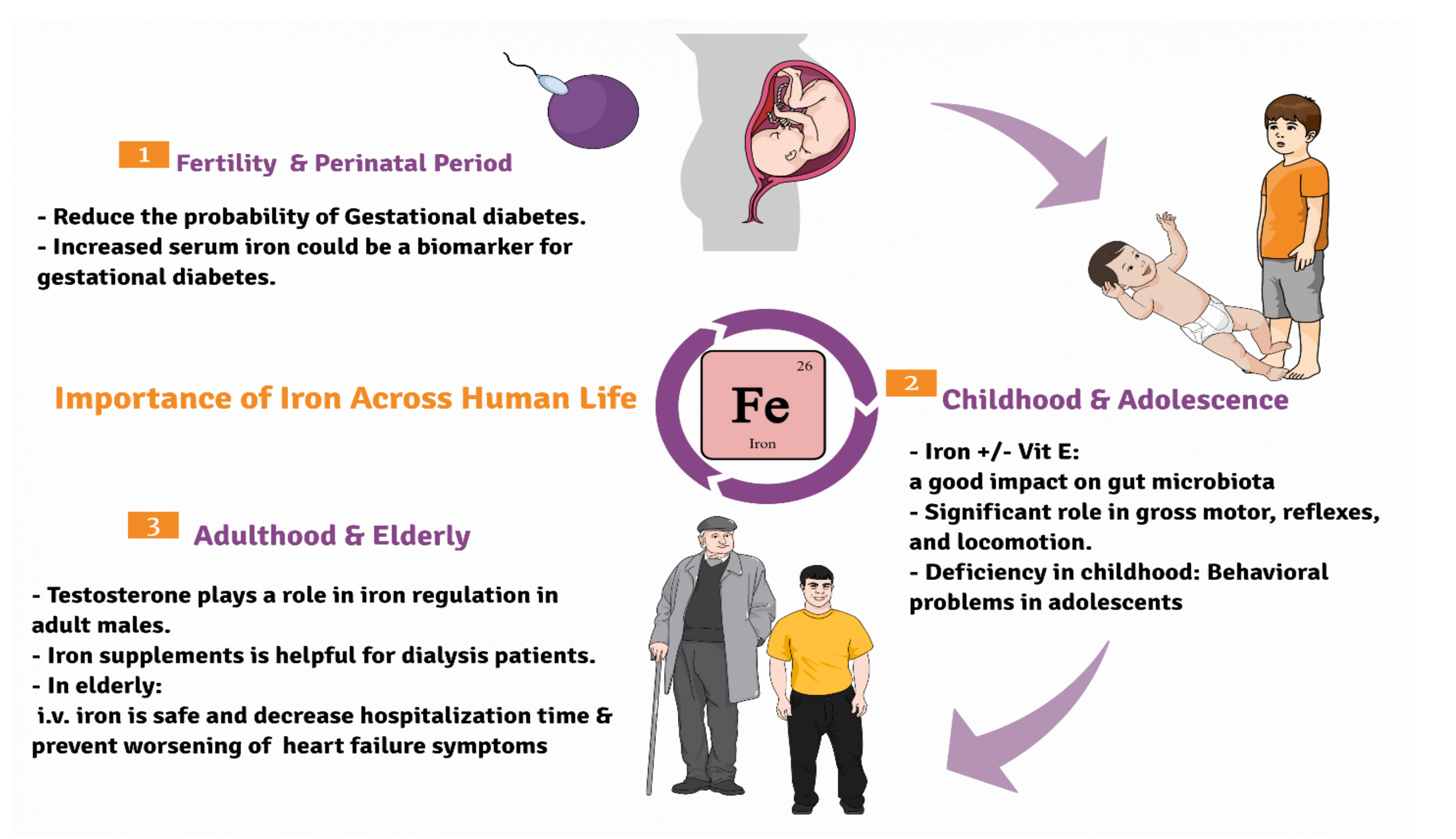 Nutrients 13 03740 g001