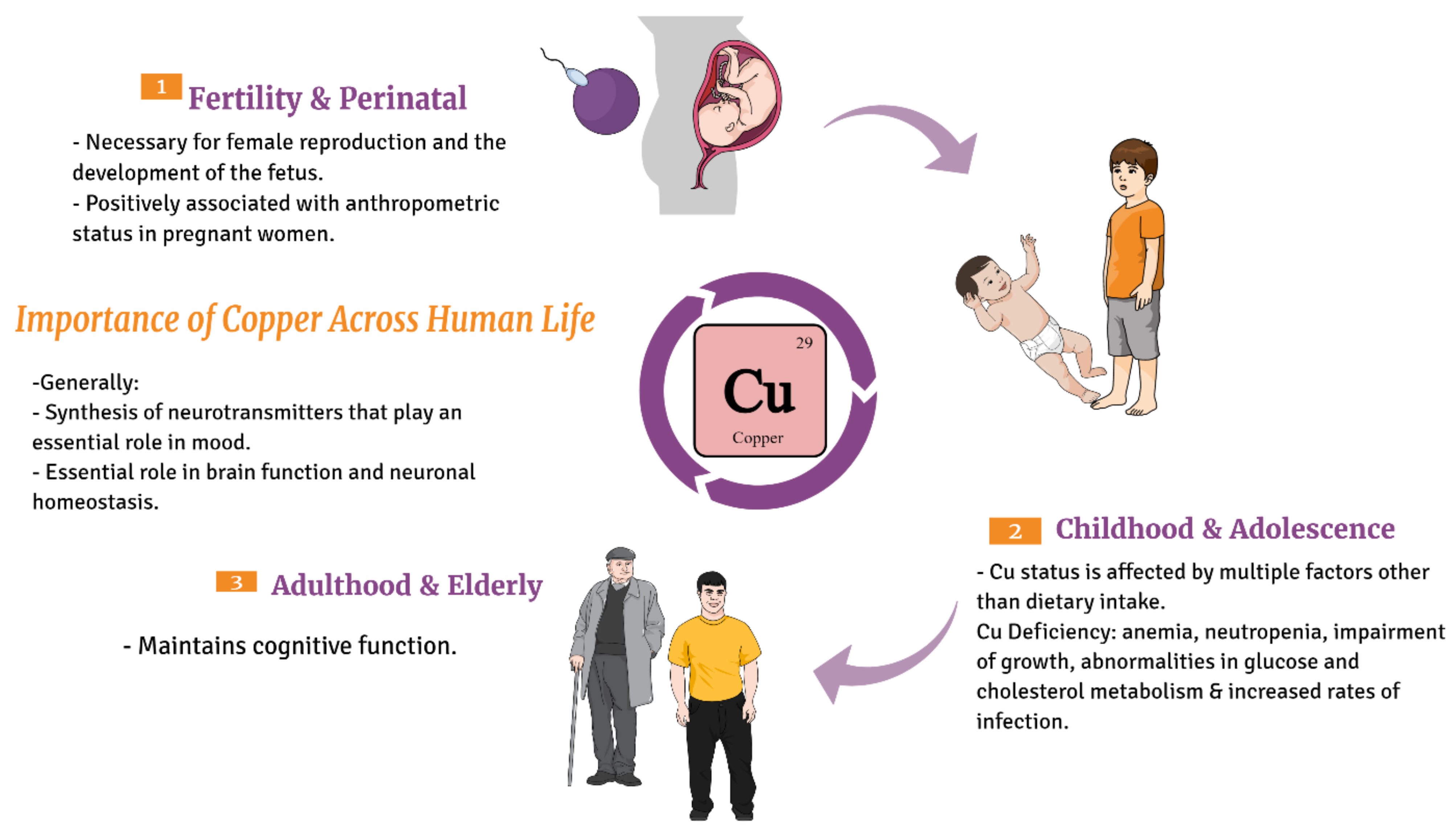 Nutrients 13 03740 g002