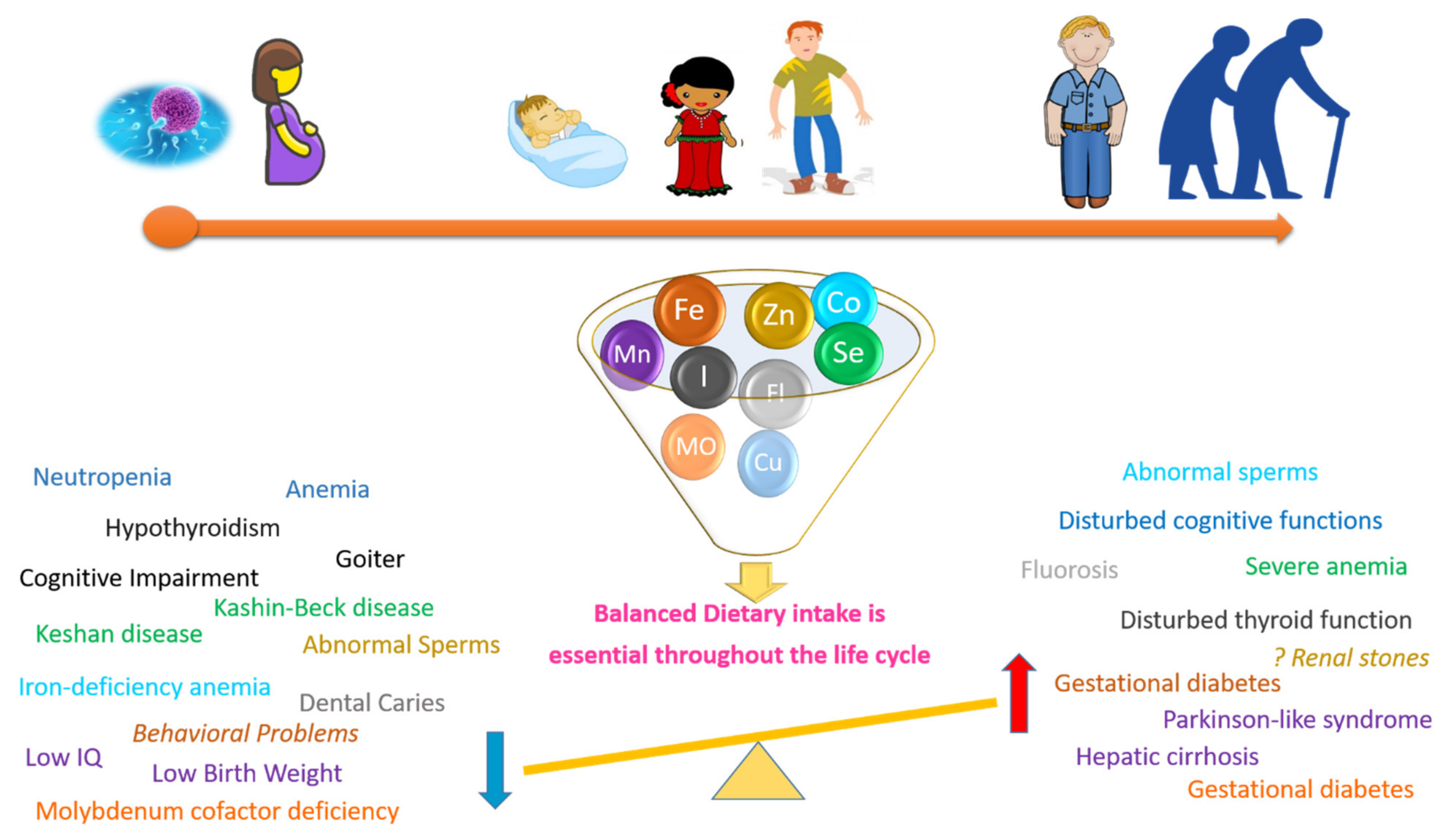Nutrients 13 03740 g003