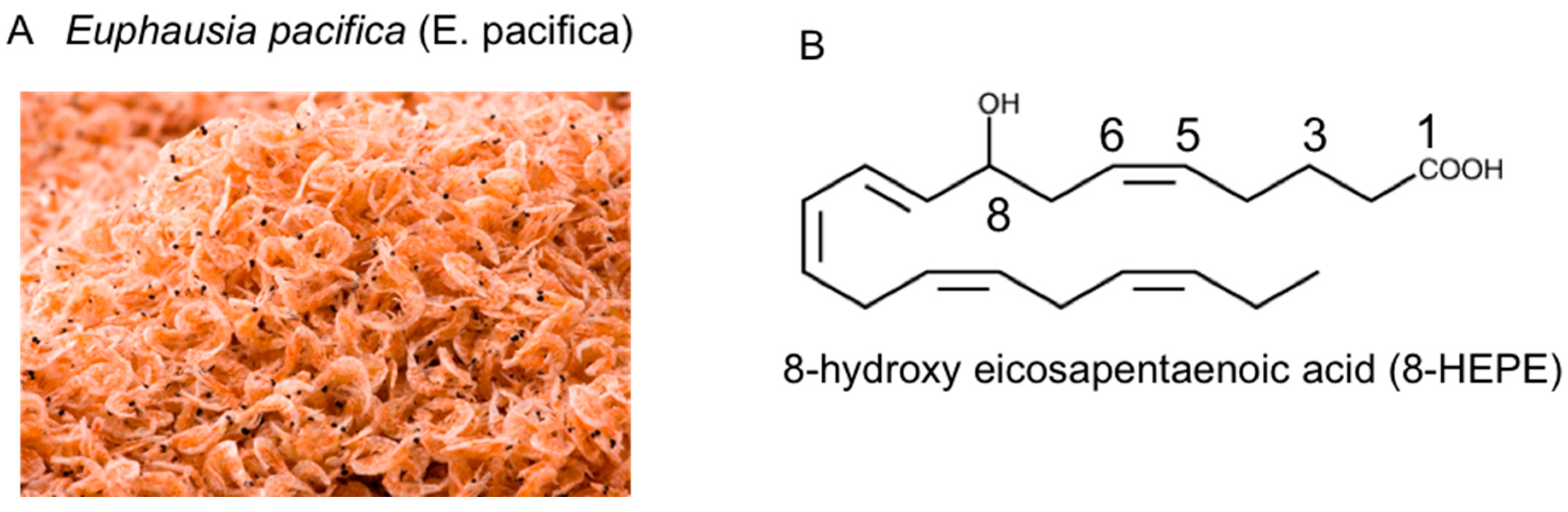 Nutrients 13 03765 g001 Nutrients 13 03765 g001
