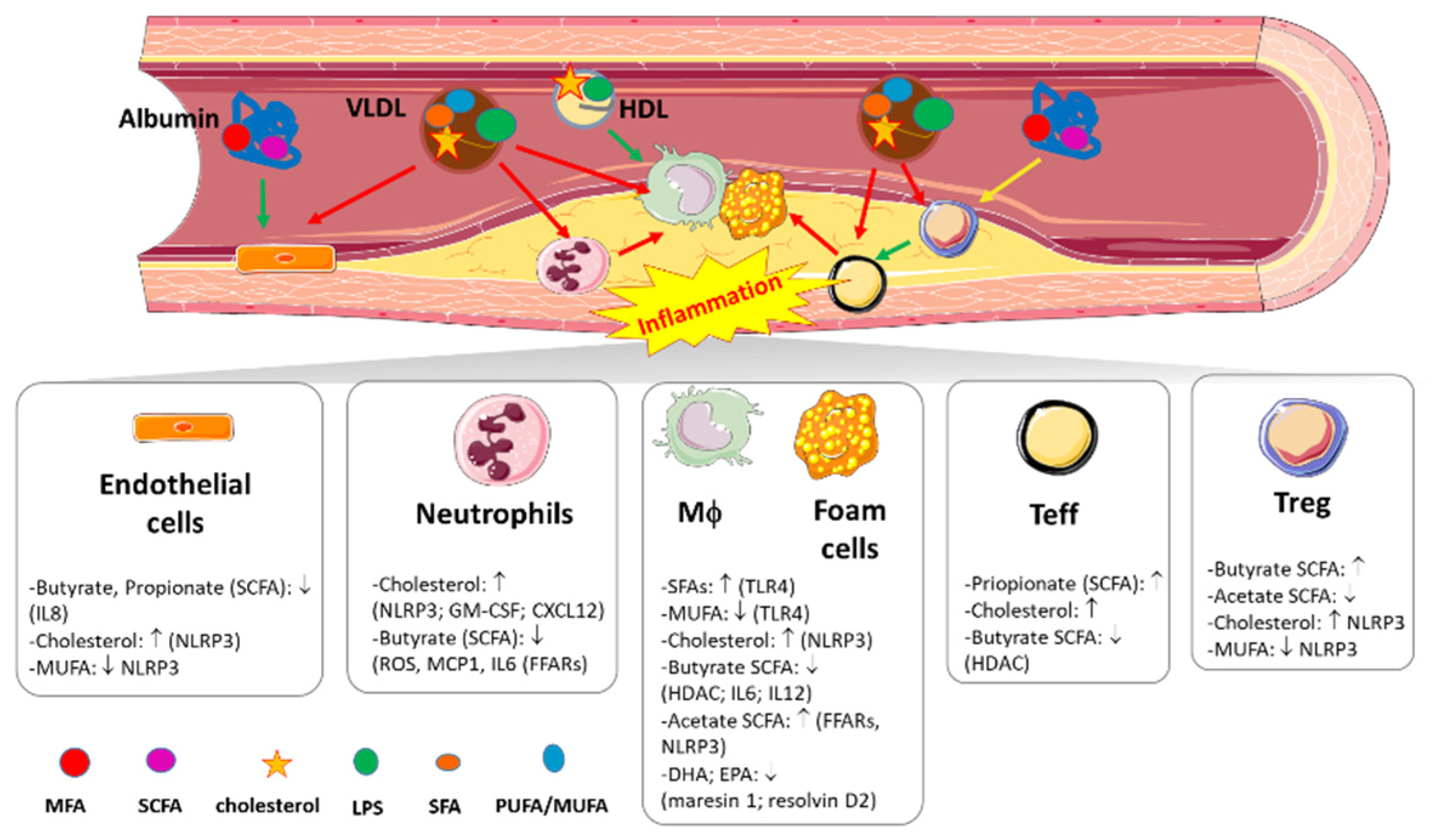Nutrients 13 03768 g002 Nutrients 13 03768 g002