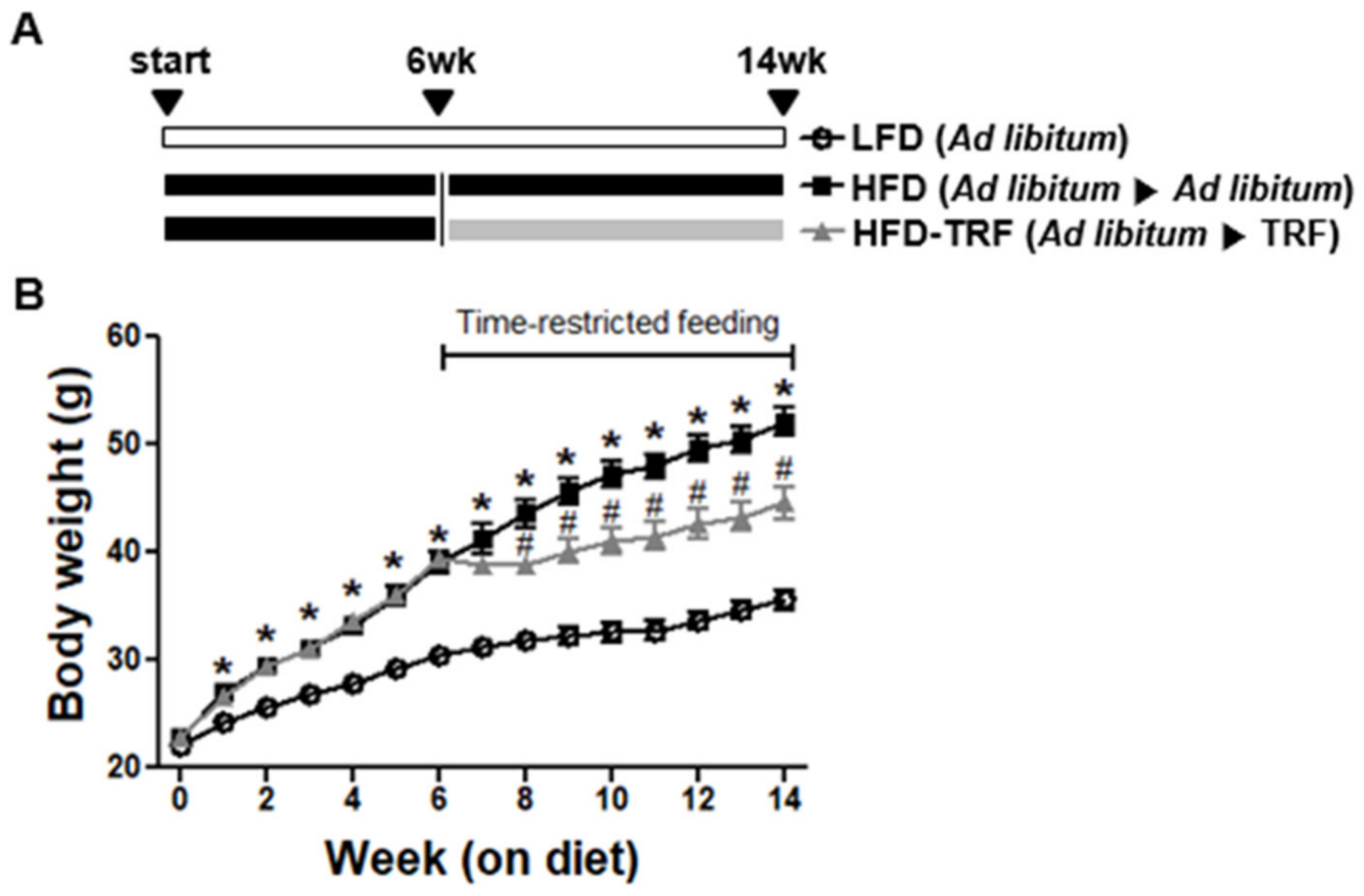 Nutrients 13 03780 g001