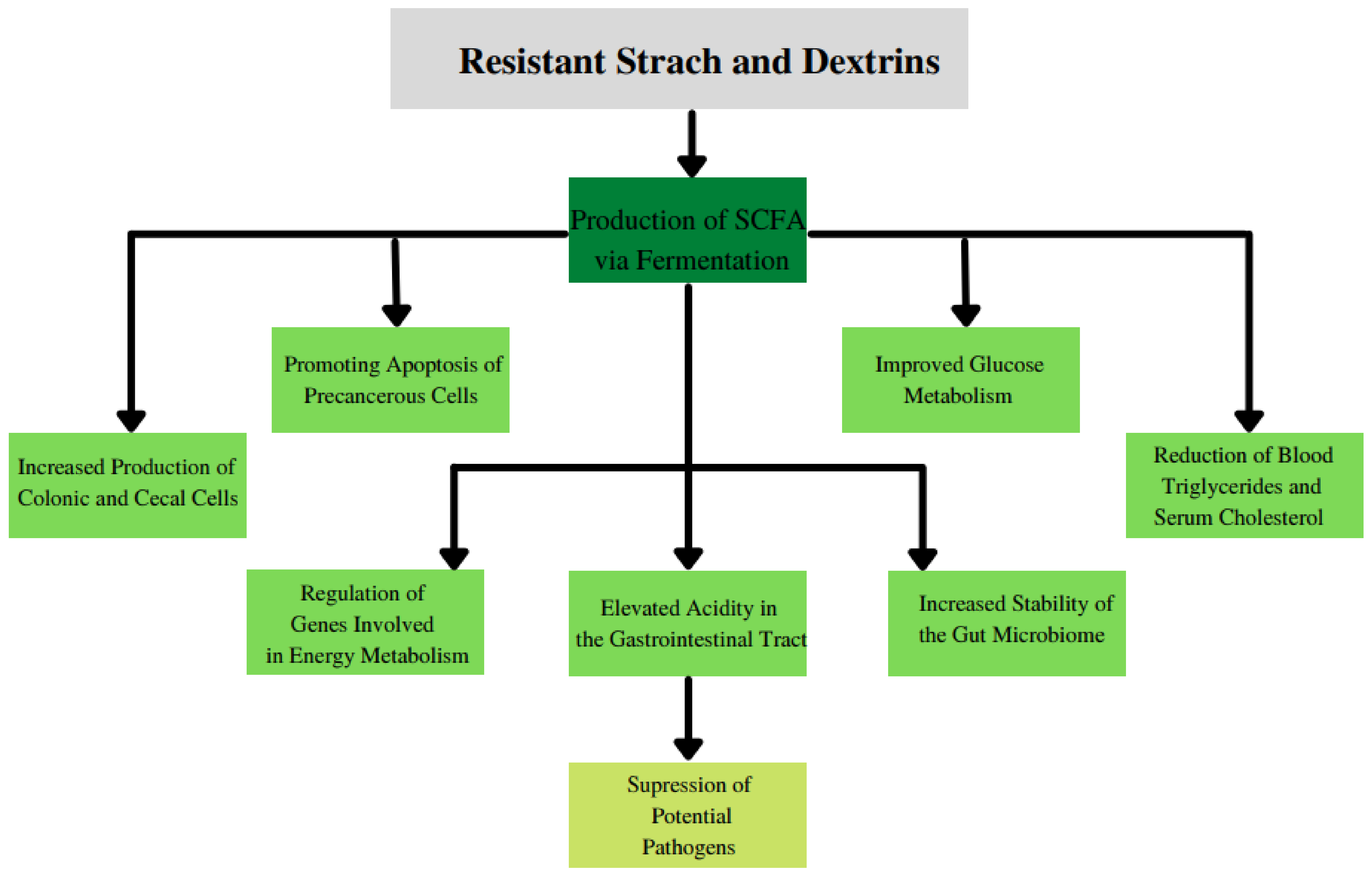 Nutrients 13 03808 g004