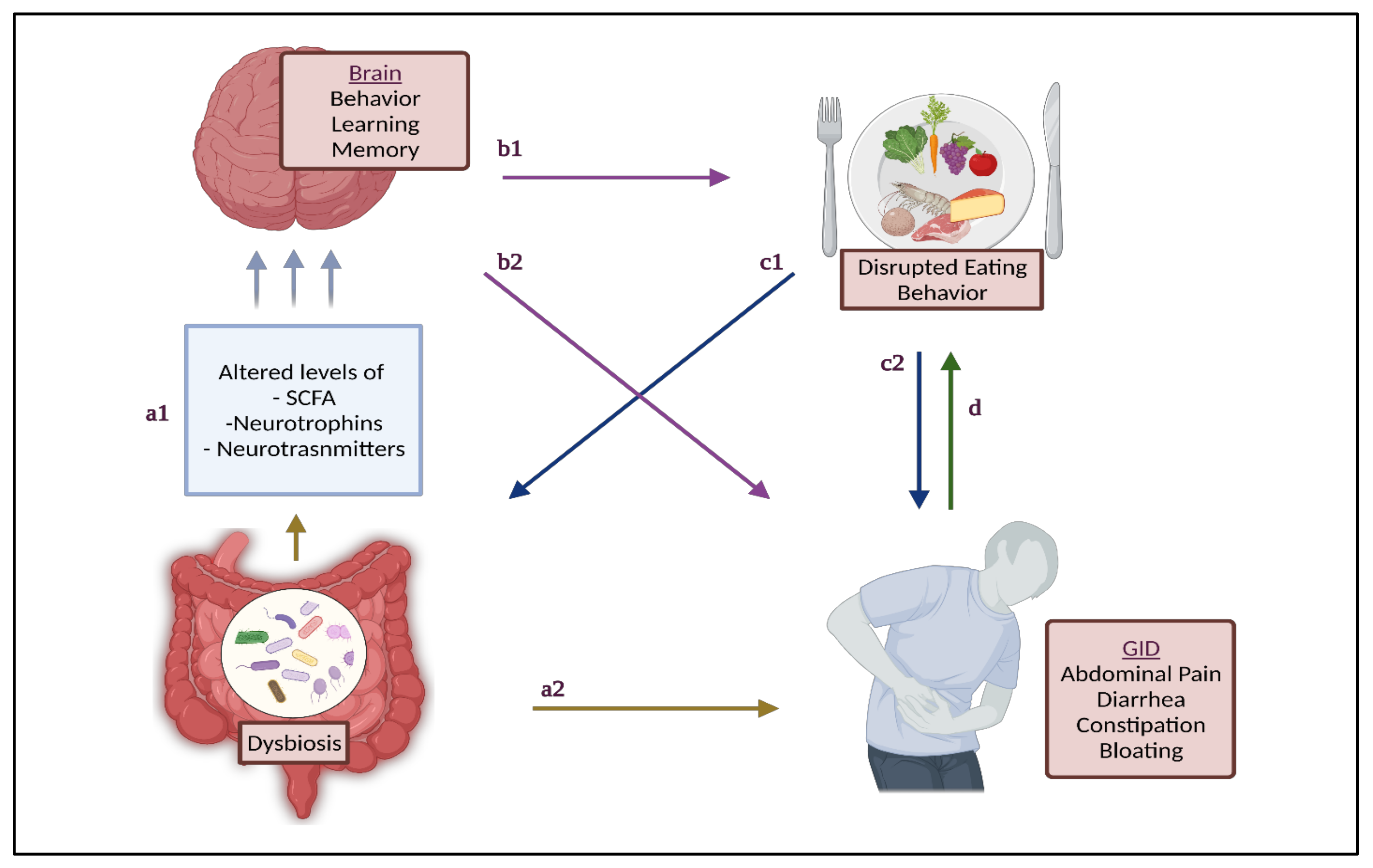 Nutrients 13 03818 g001