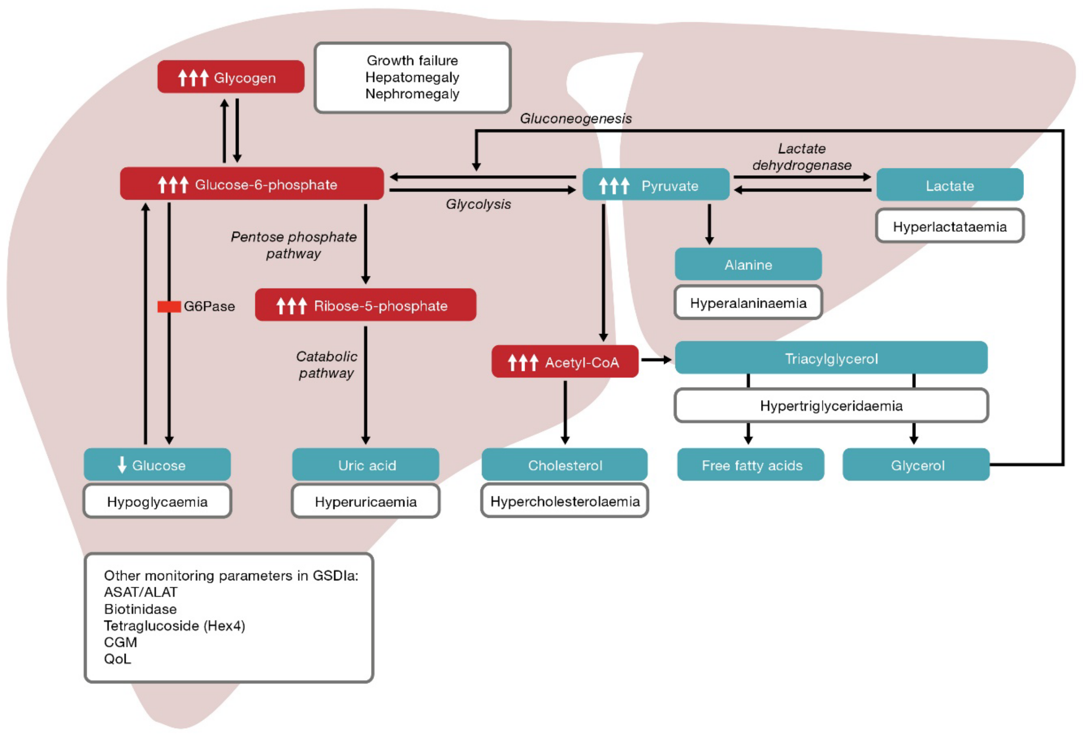 Nutrients 13 03828 g001