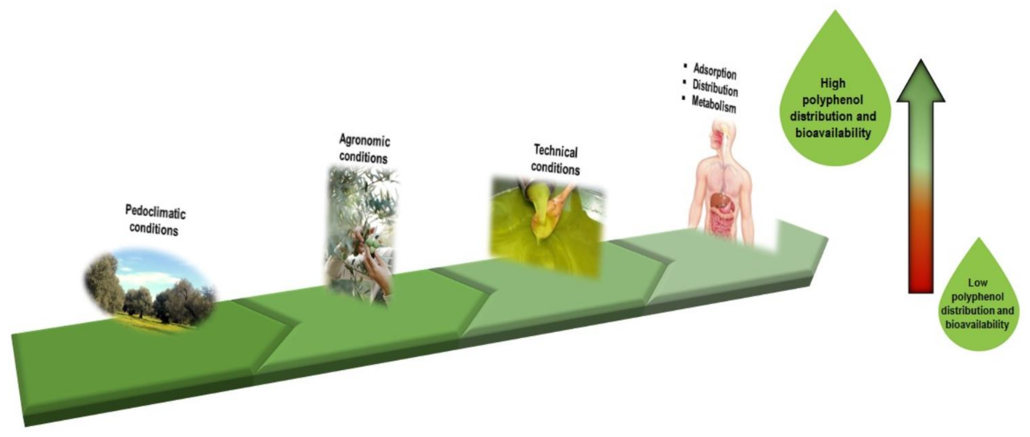 Nutrients 13 03831 g001