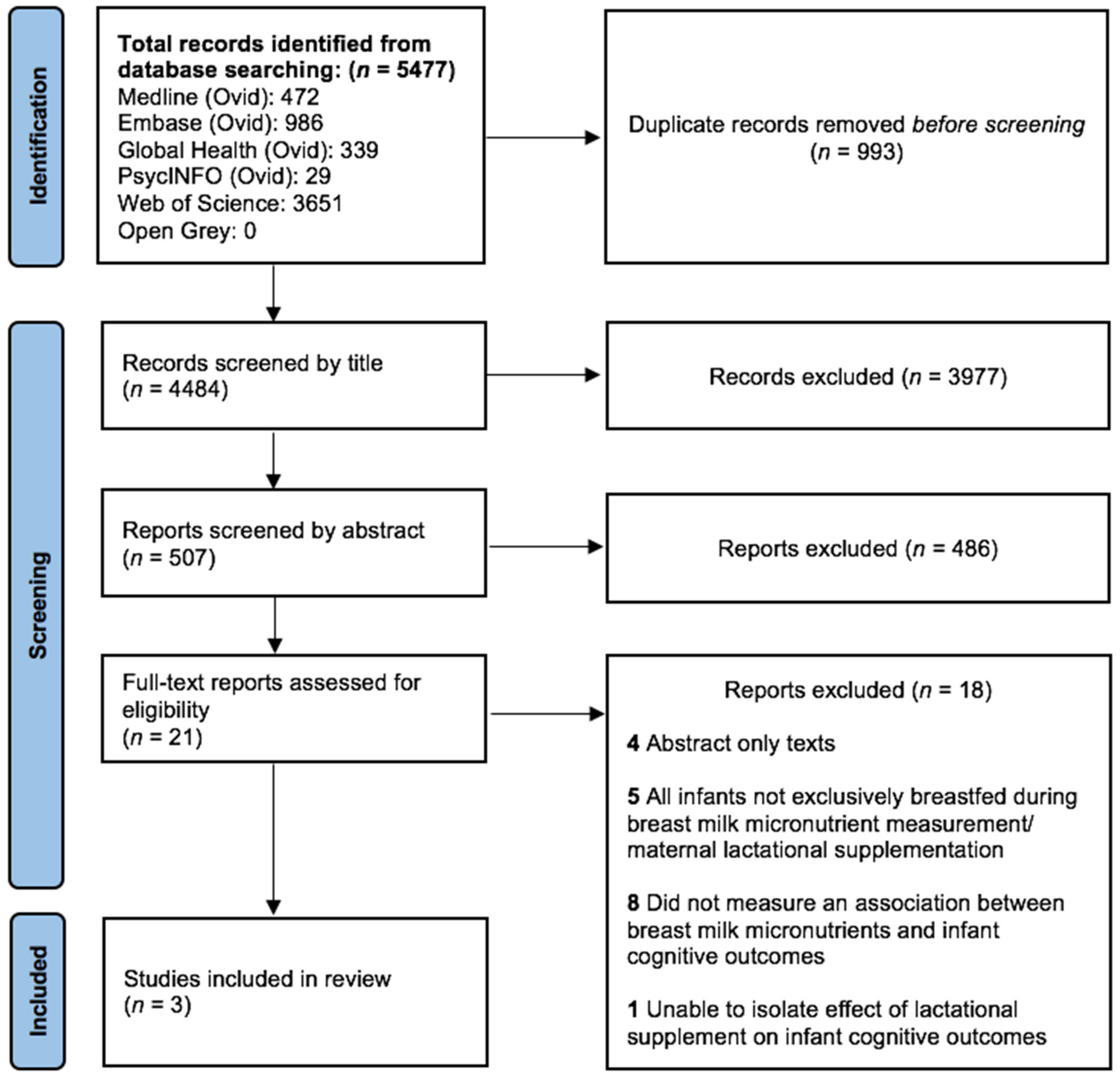 Nutrients 13 03848 g001