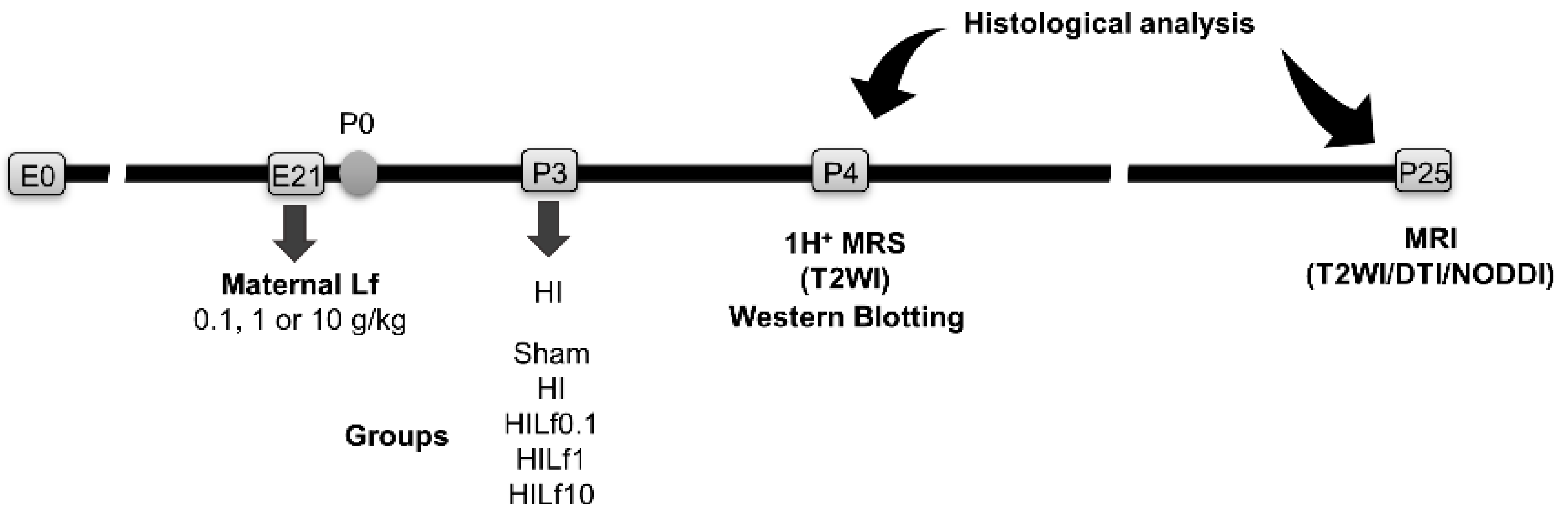Nutrients 13 03880 g001