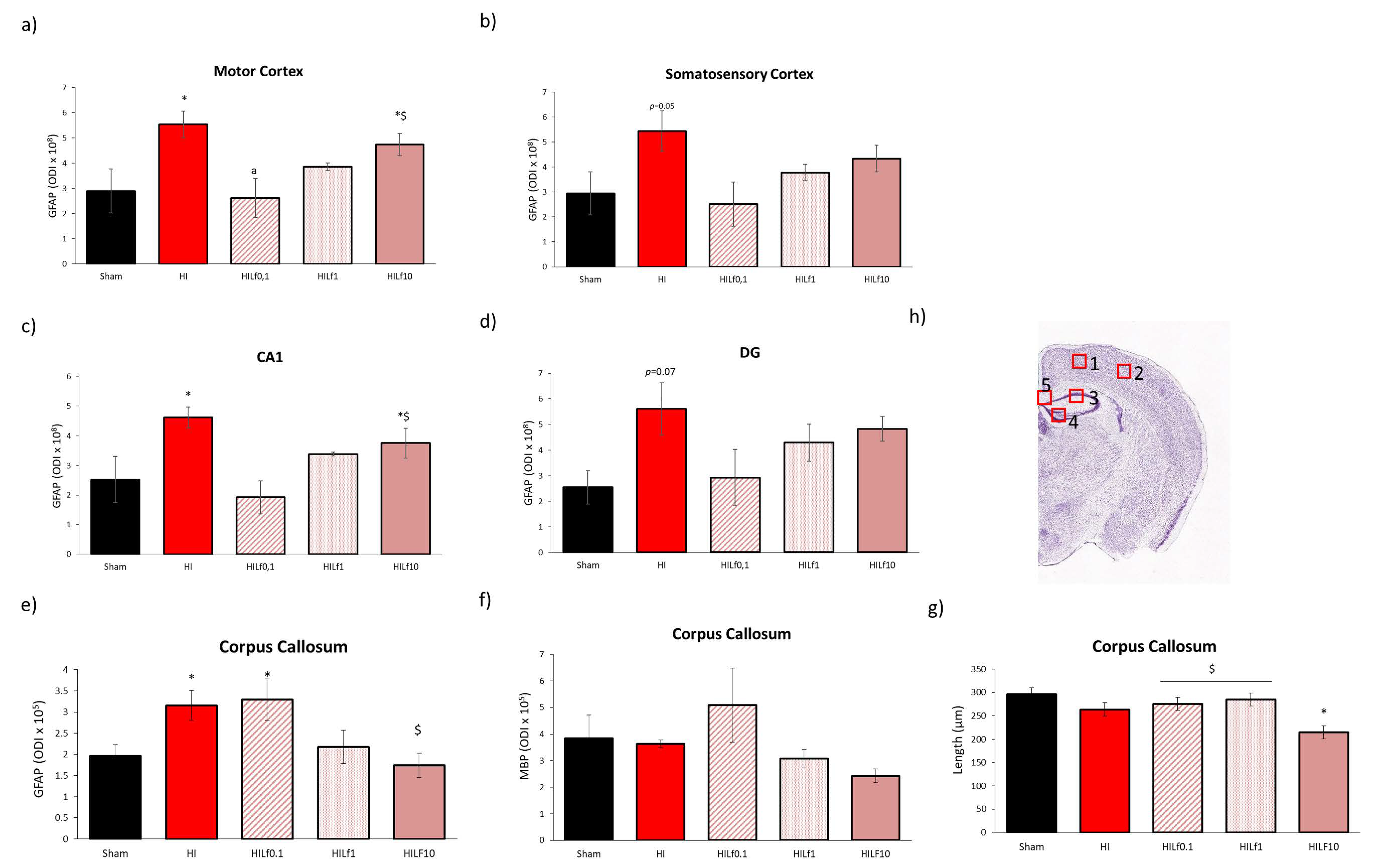 Nutrients 13 03880 g006