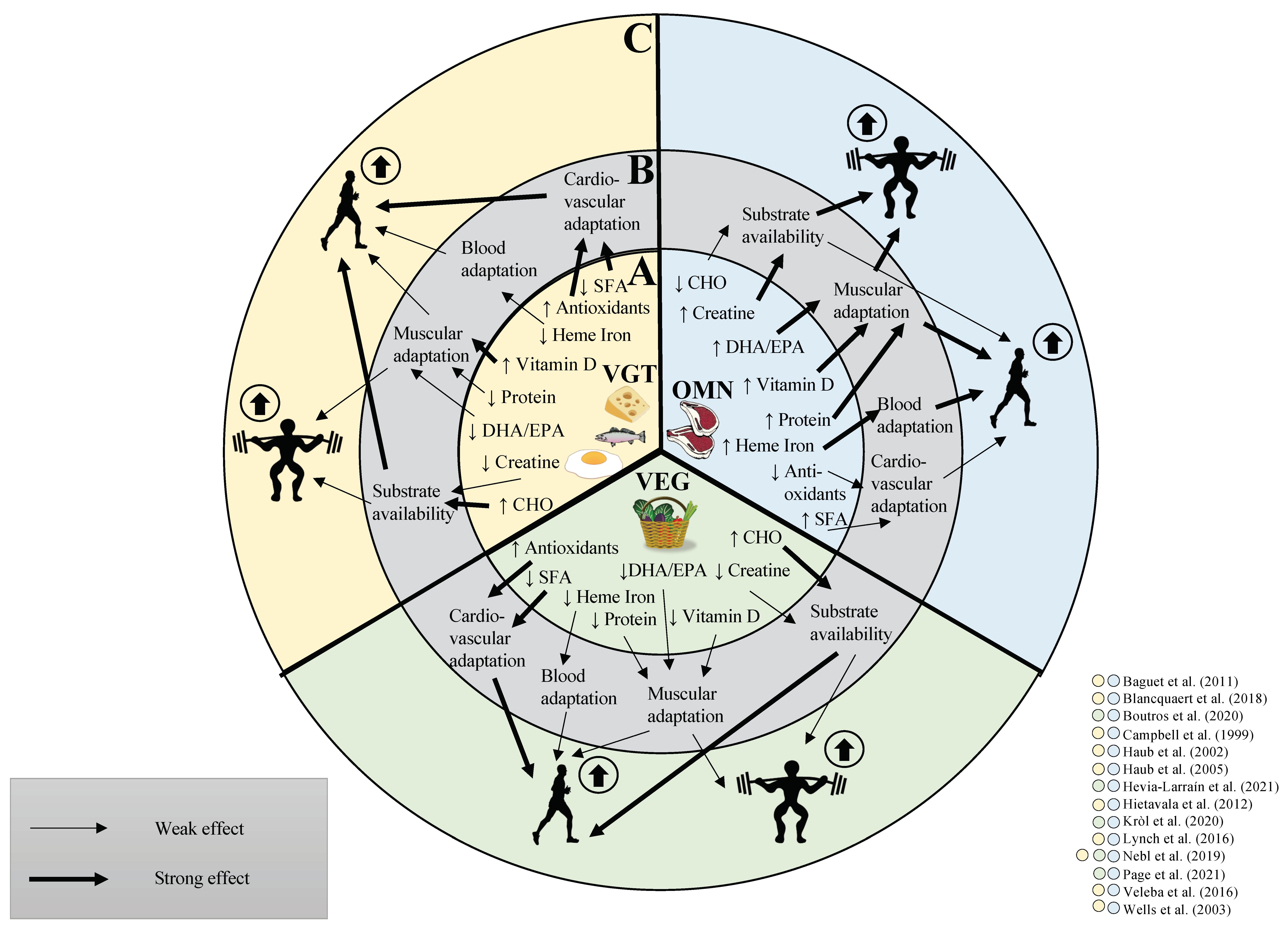 Nutrients 13 03884 g001