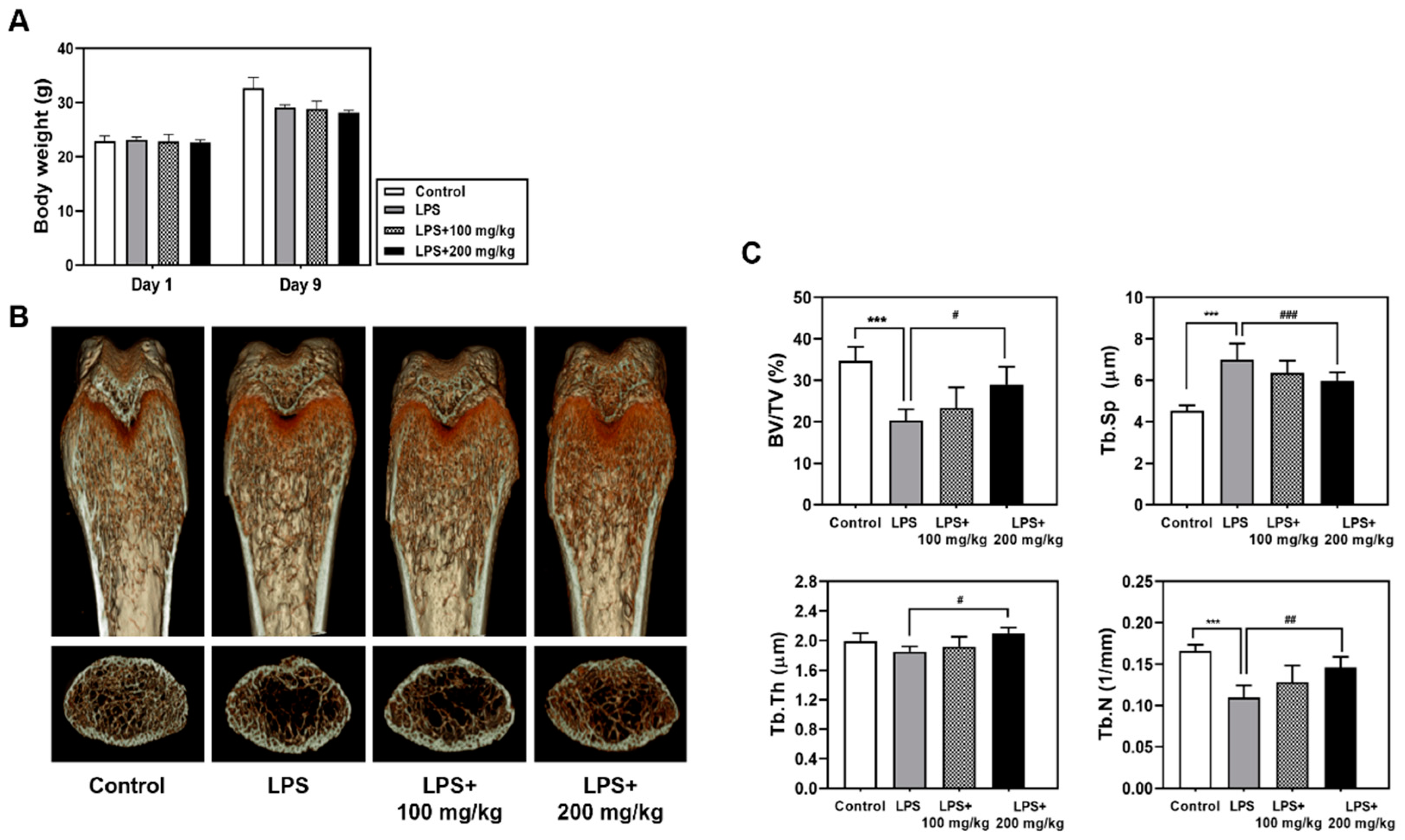 Nutrients 13 03904 g001