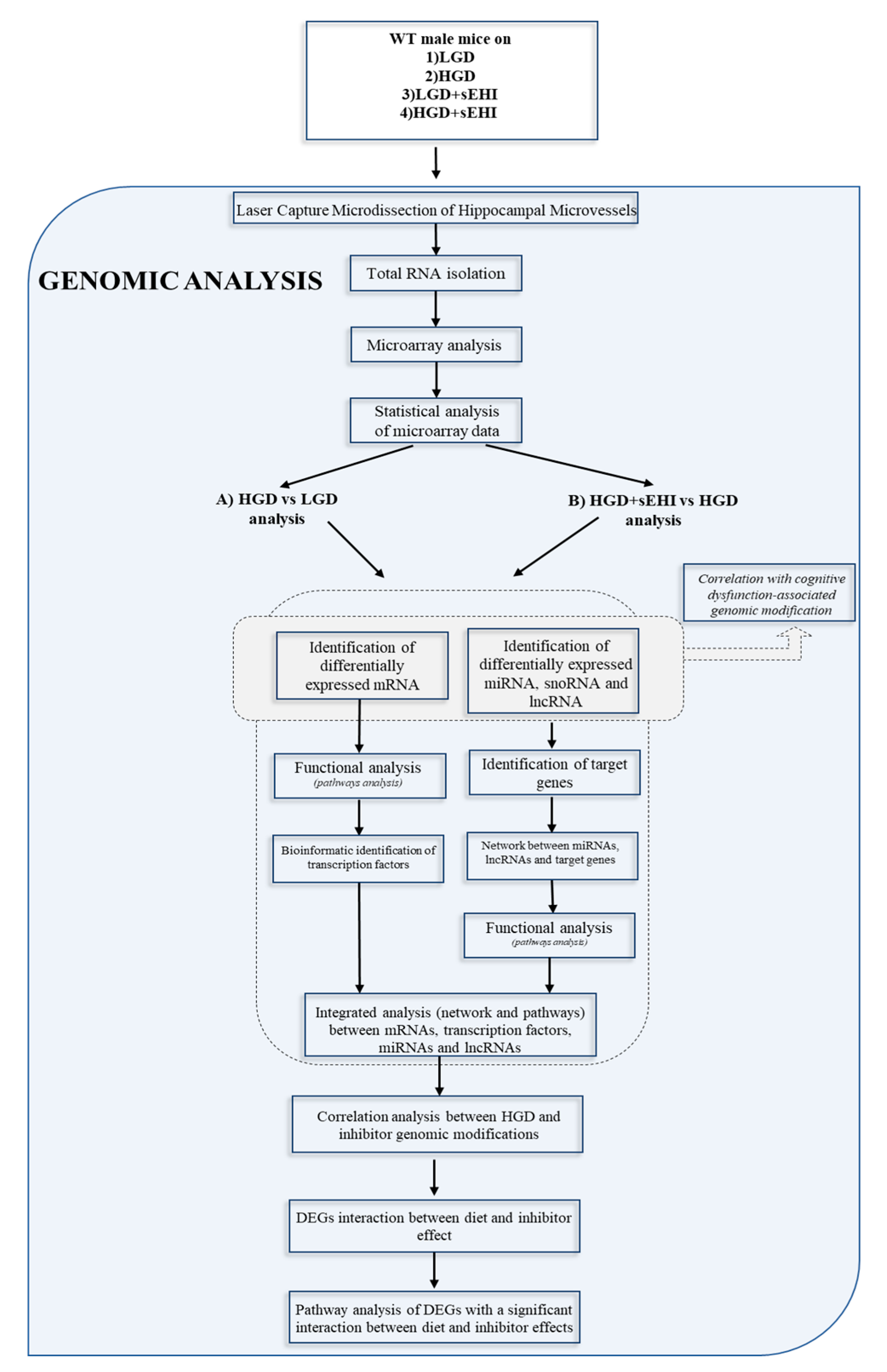 Nutrients 13 03913 g001