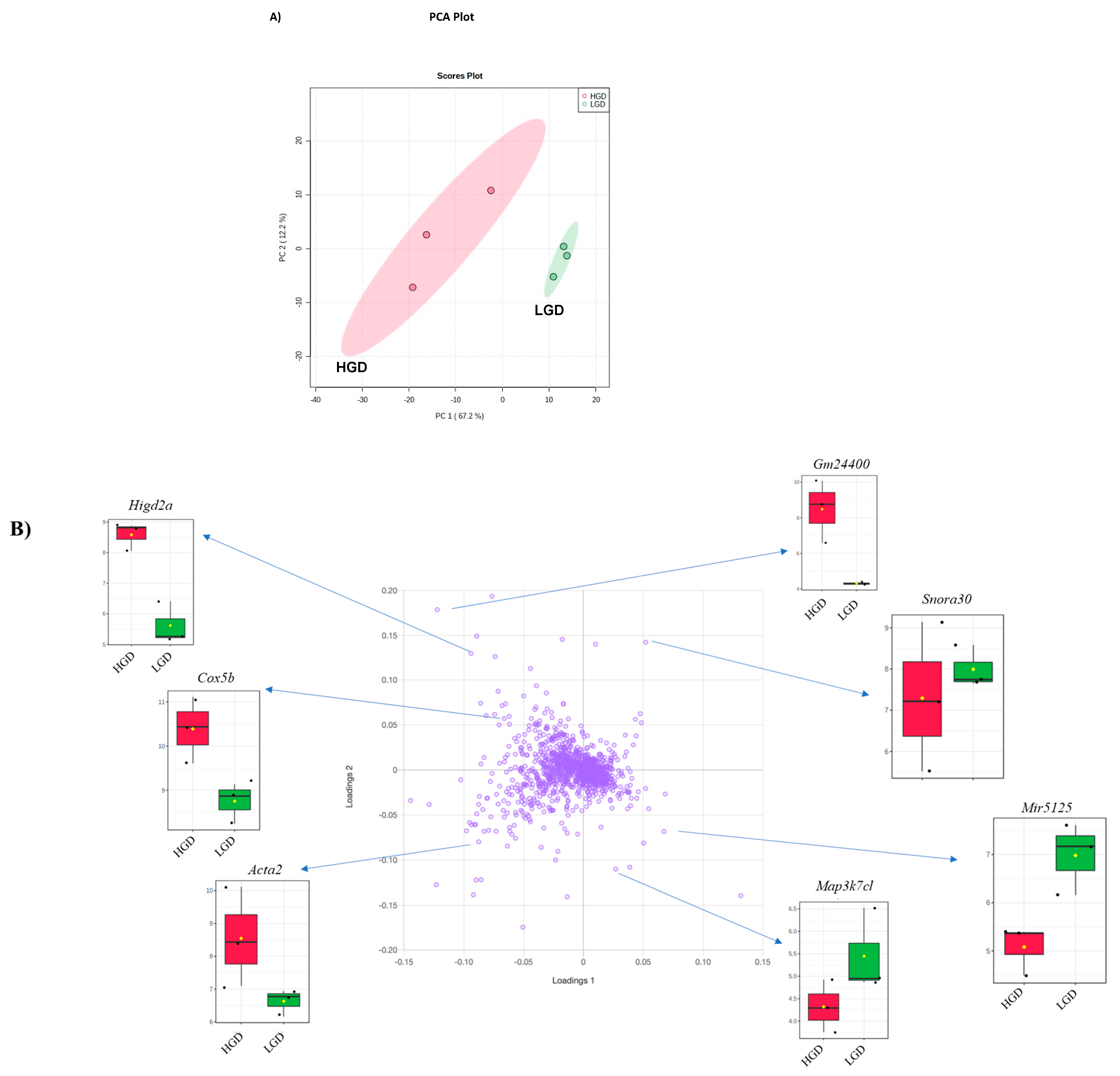 Nutrients 13 03913 g002