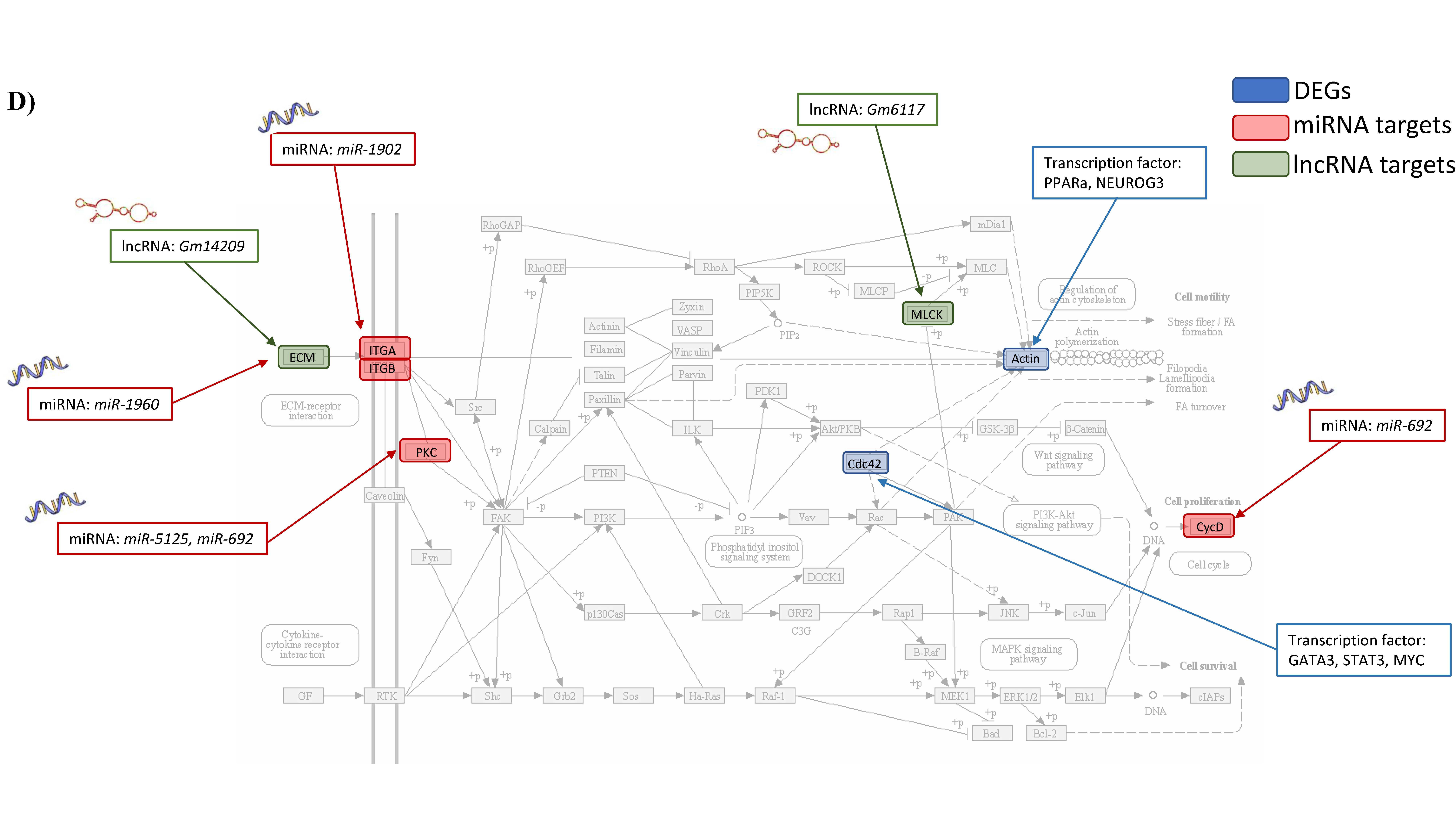 Nutrients 13 03913 g004d