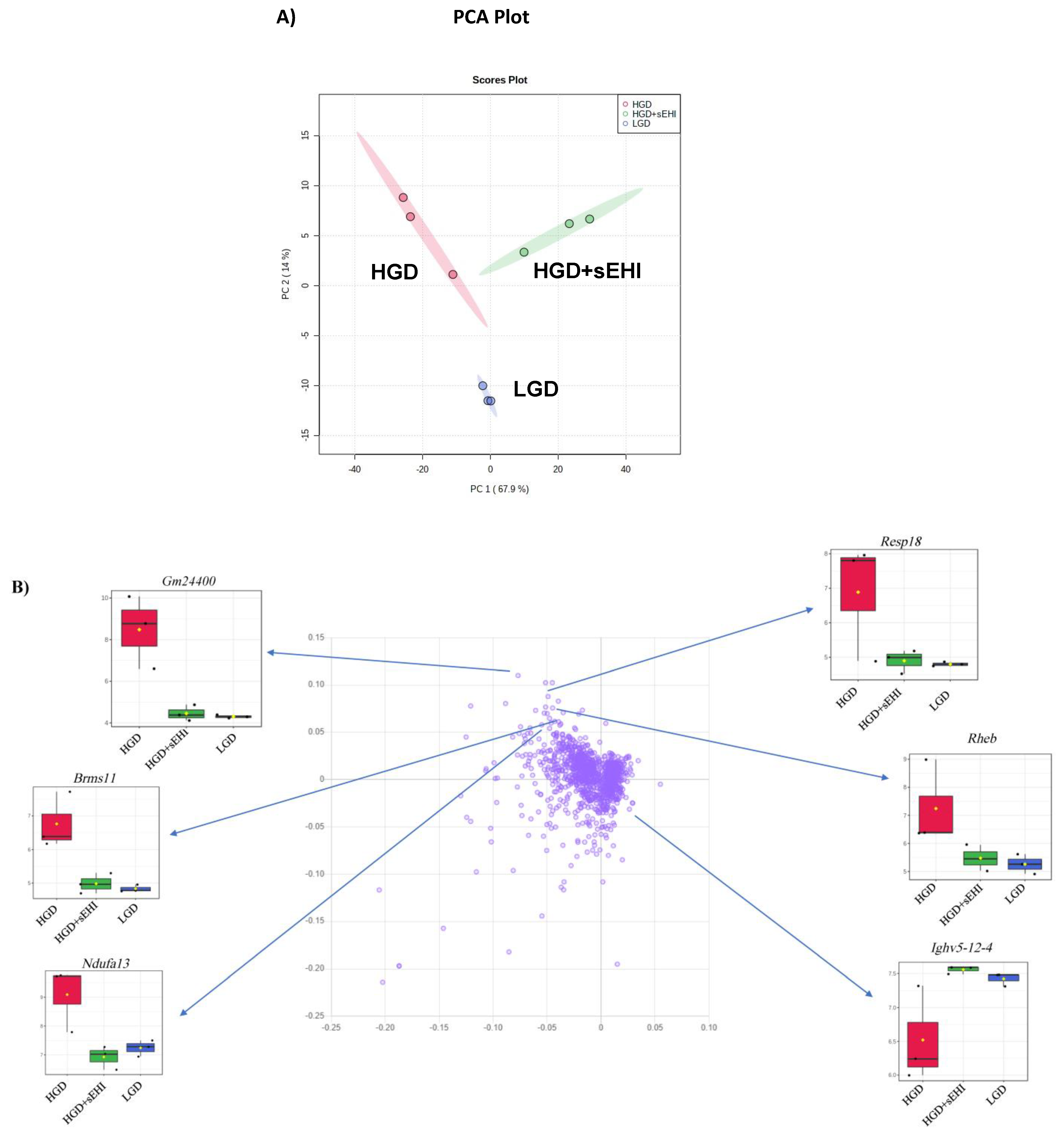 Nutrients 13 03913 g006