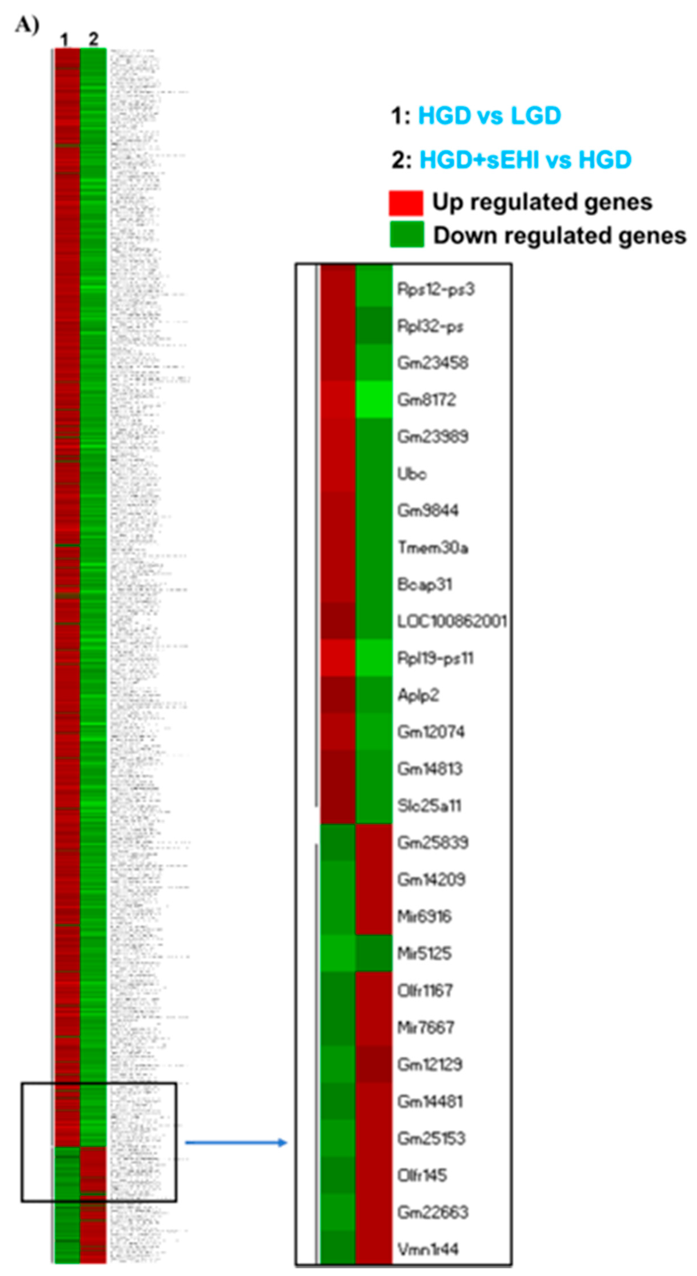 Nutrients 13 03913 g007a