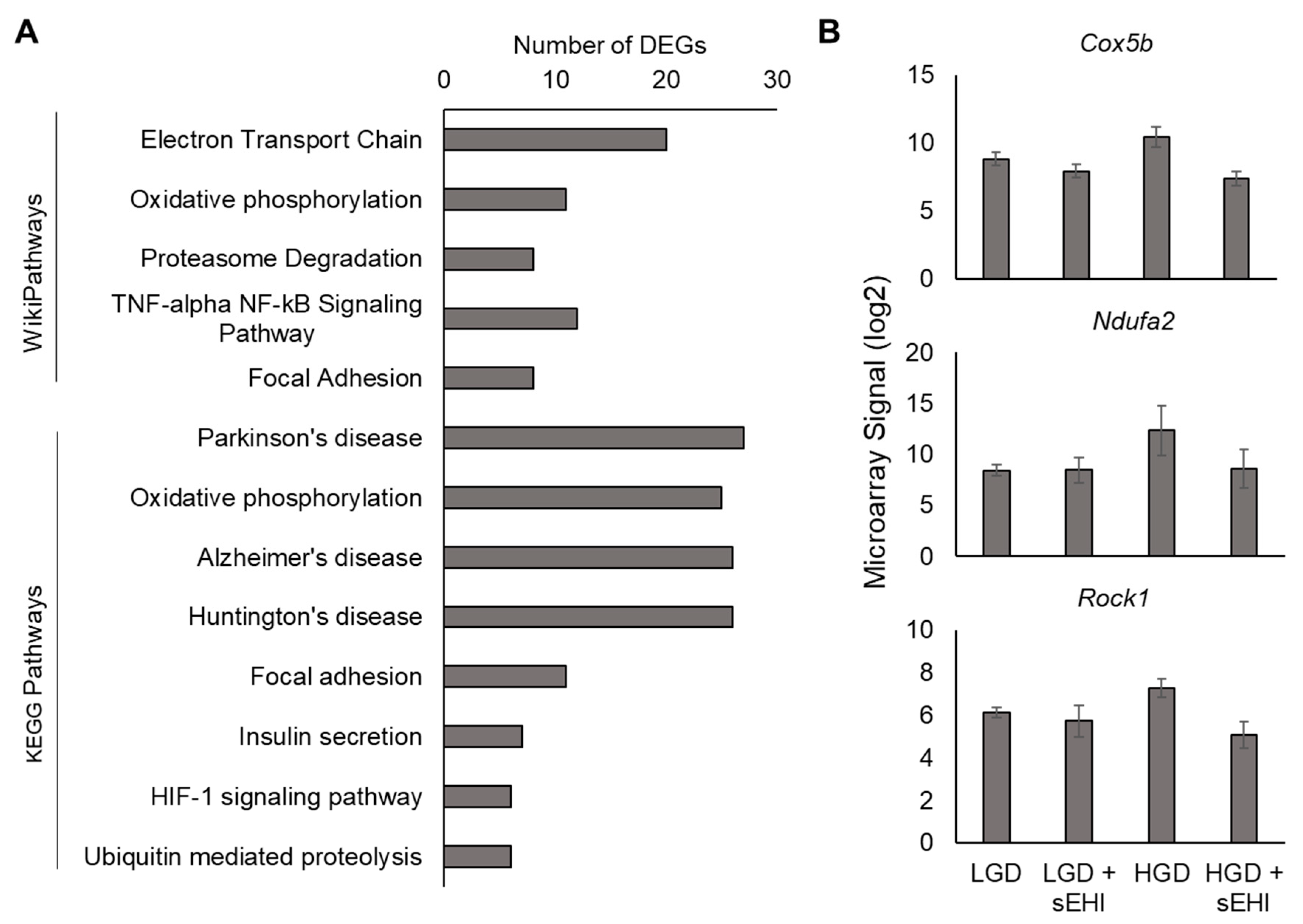 Nutrients 13 03913 g010