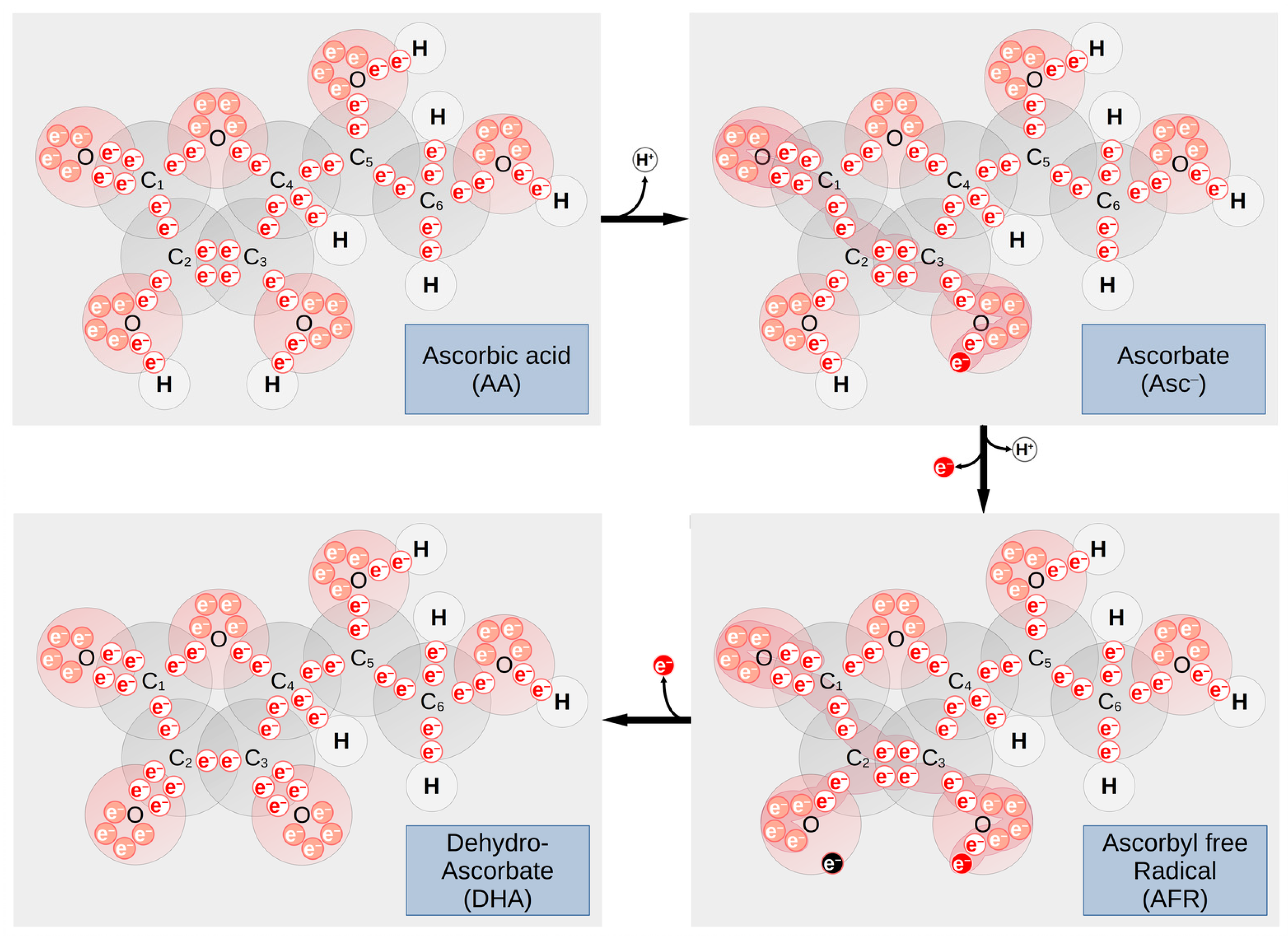 Nutrients 13 03914 g003