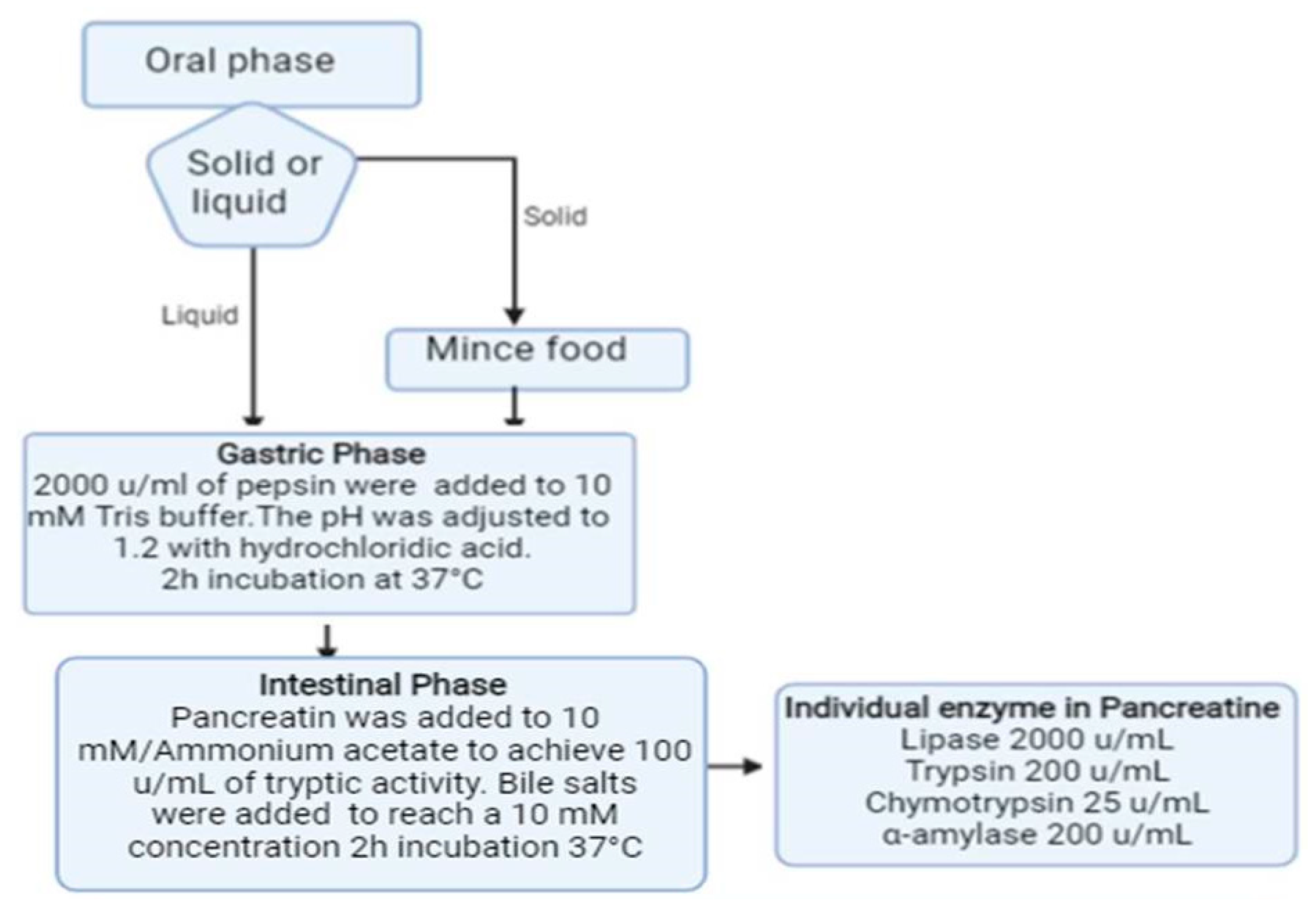 Nutrients 13 03919 g001