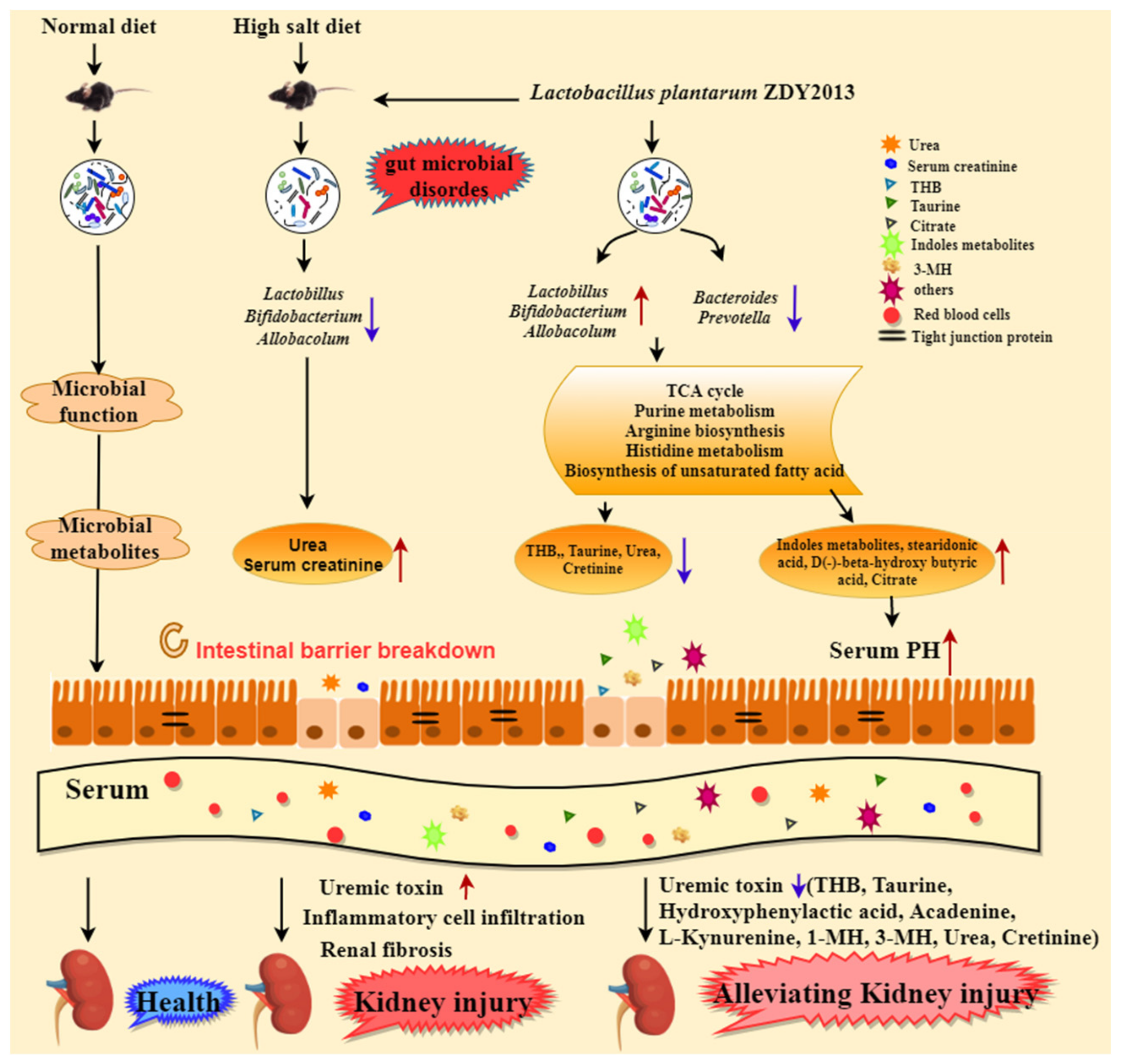 Nutrients 13 03920 g005