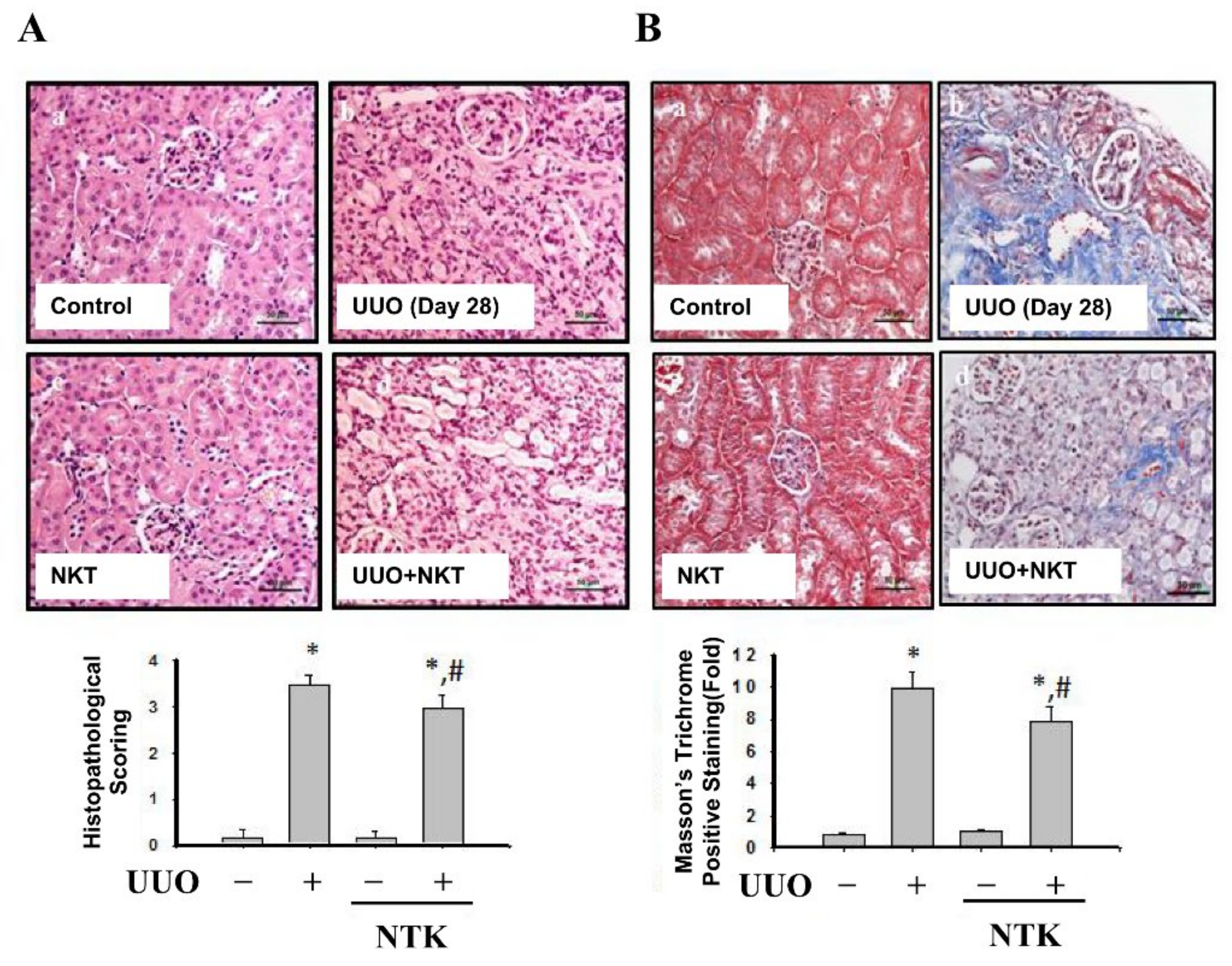 Nutrients 13 03921 g003