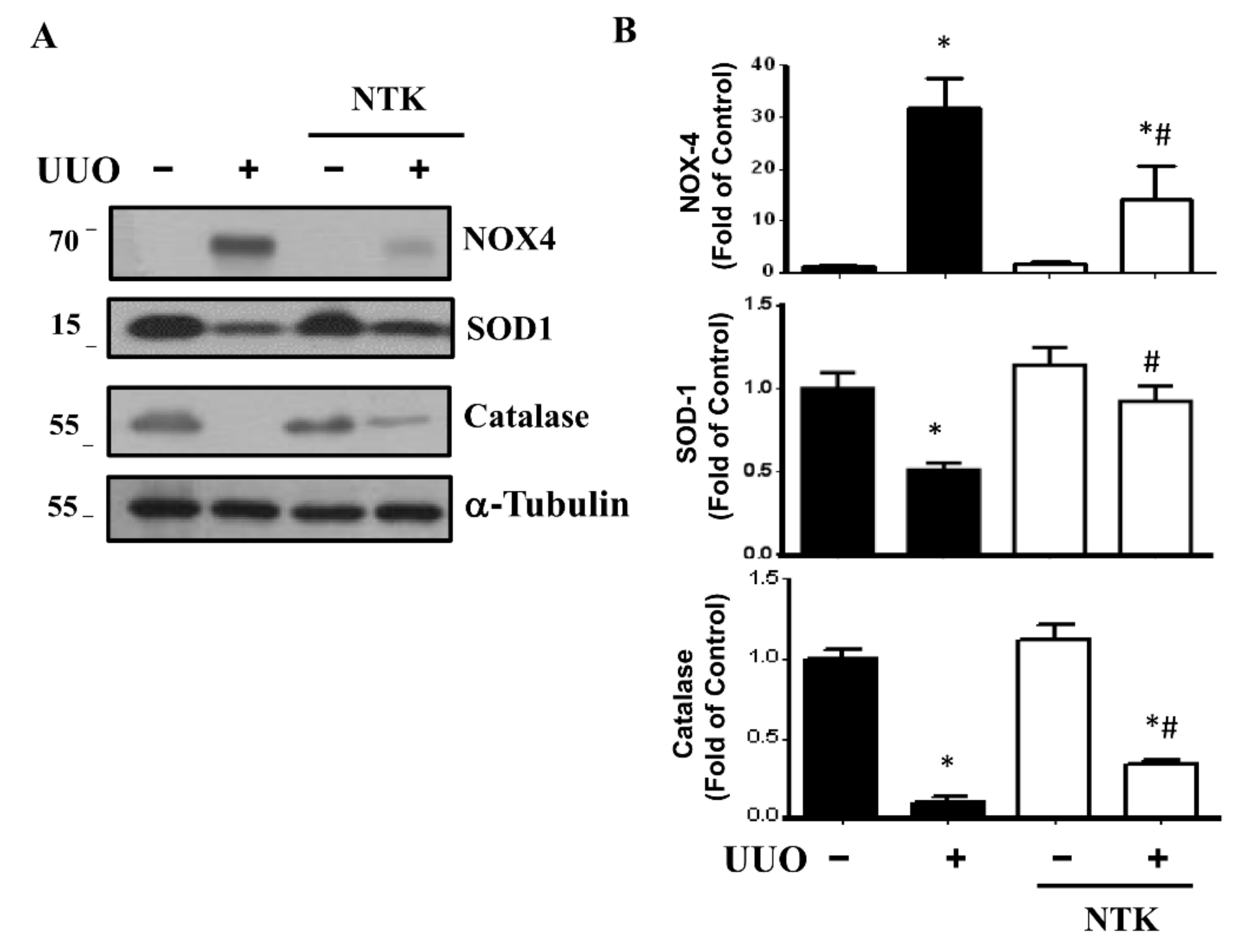 Nutrients 13 03921 g005
