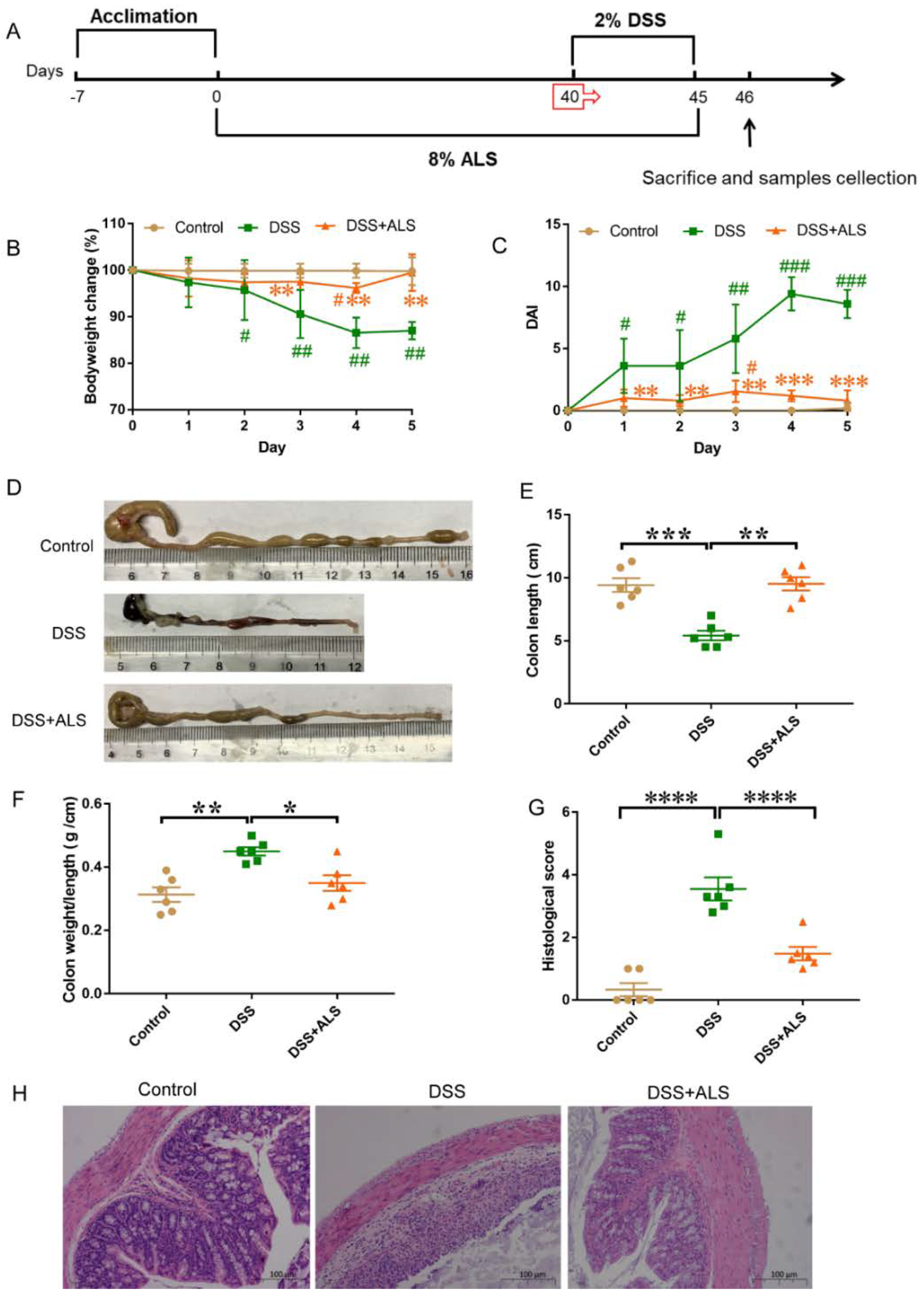 Nutrients 13 03926 g001