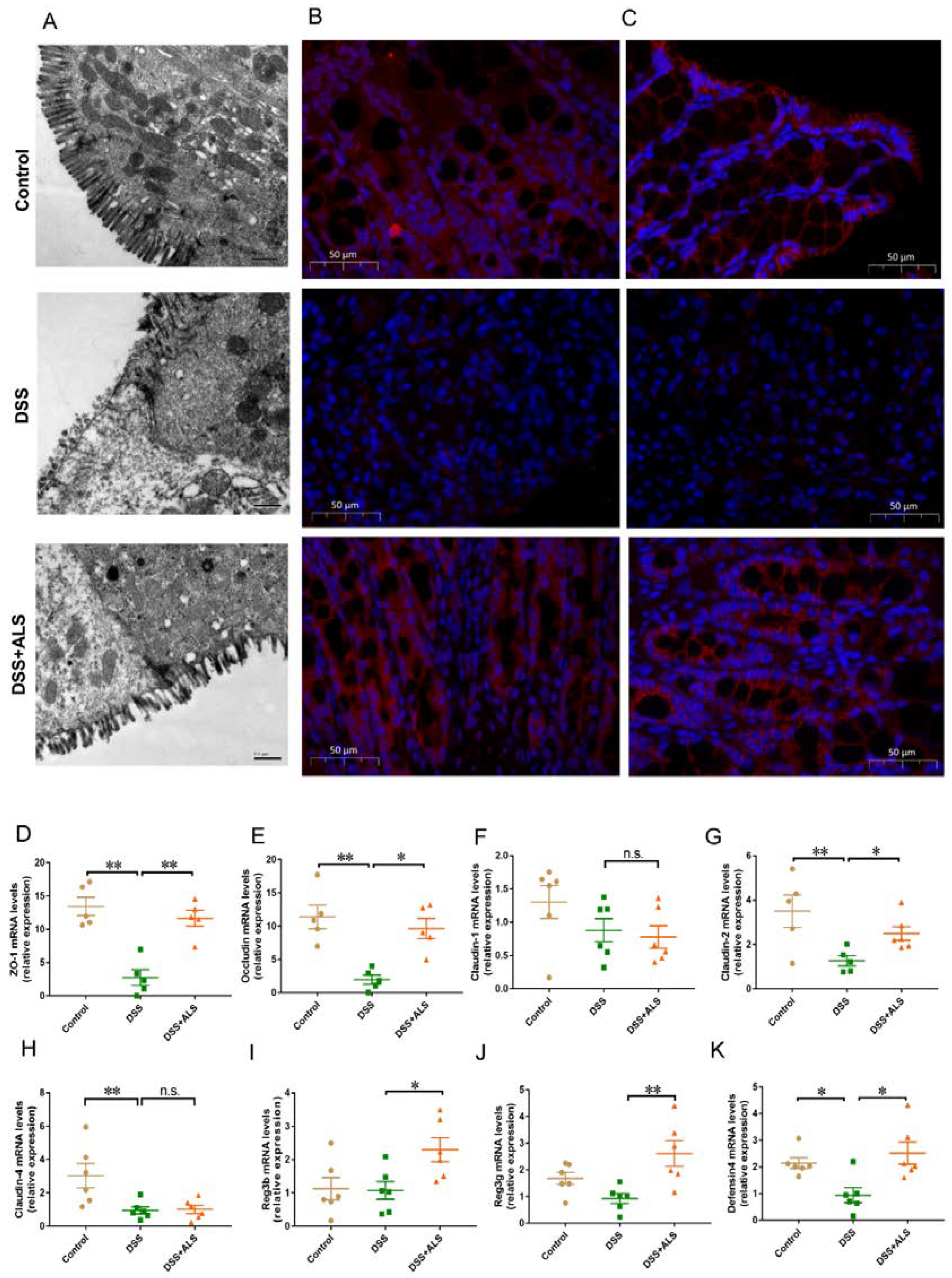 Nutrients 13 03926 g002