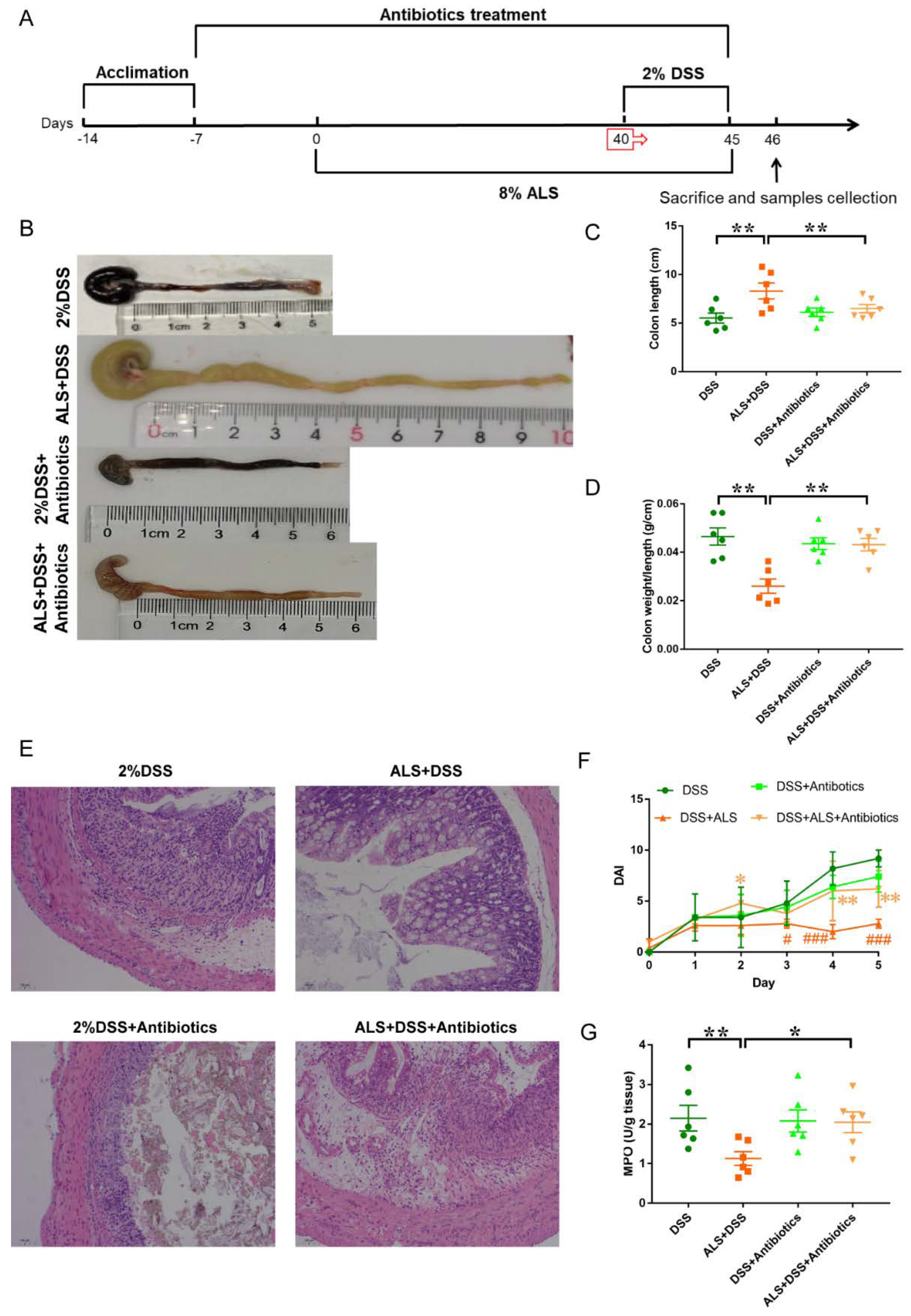 Nutrients 13 03926 g007