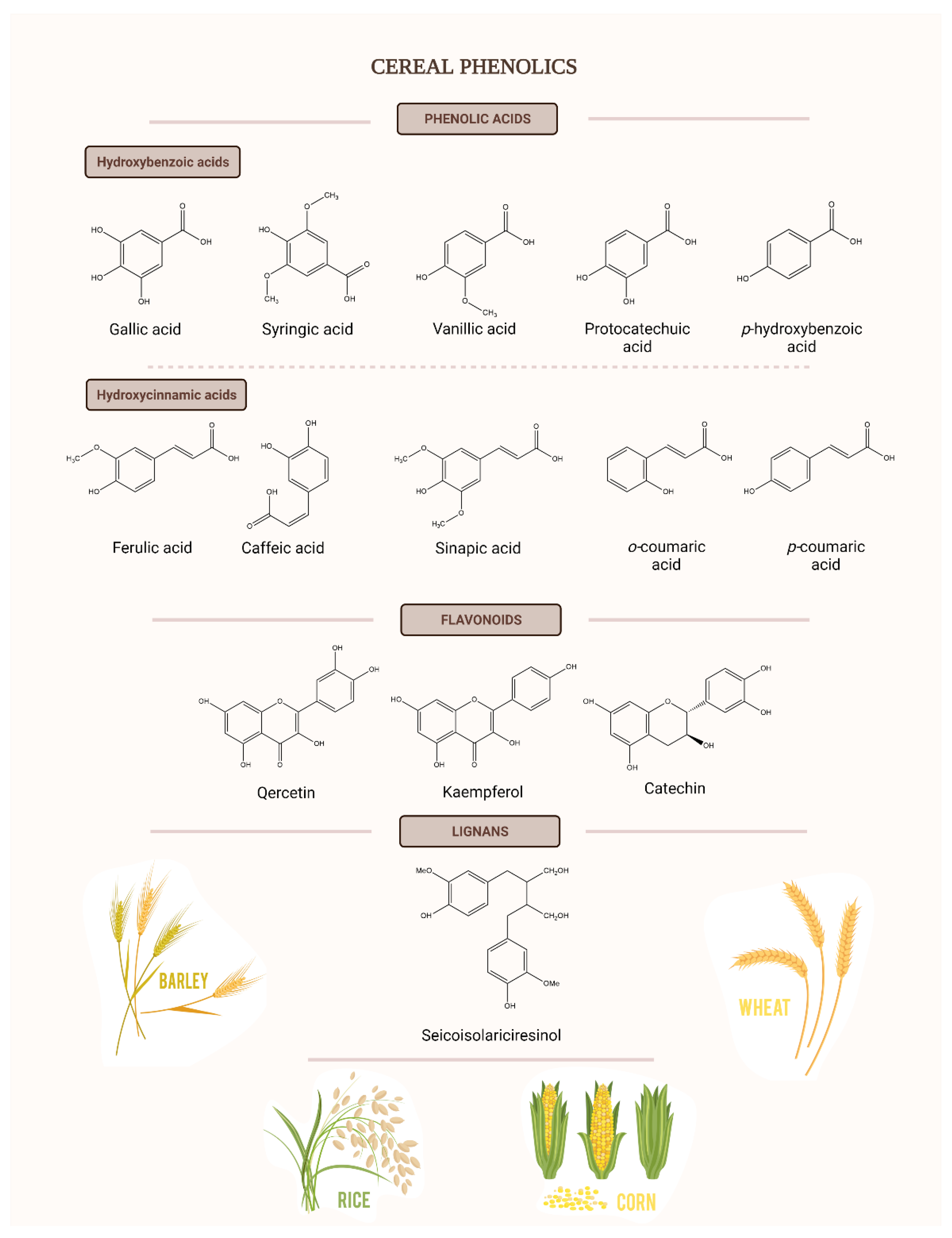 Nutrients 13 03934 g006