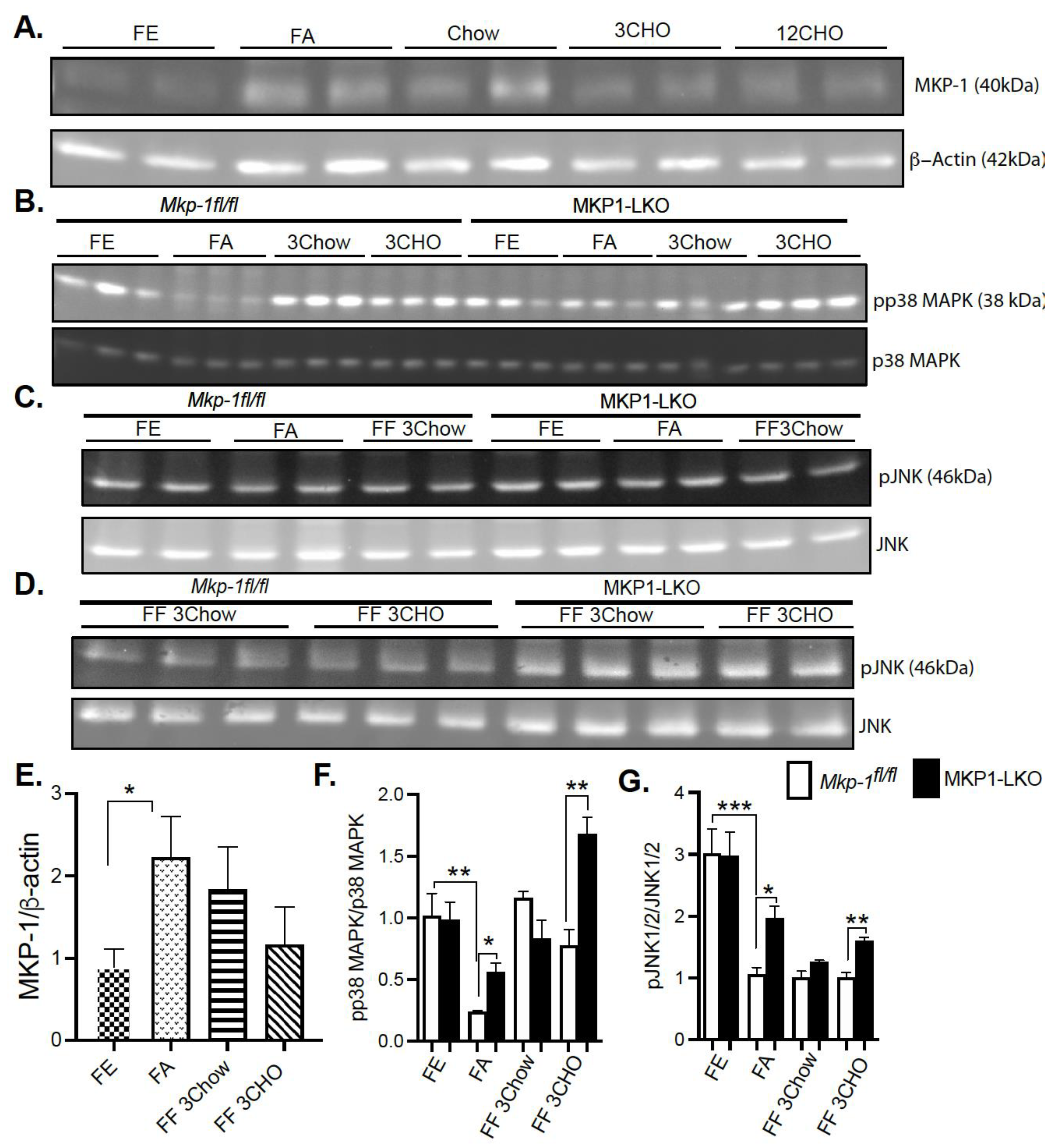Nutrients 13 03941 g001