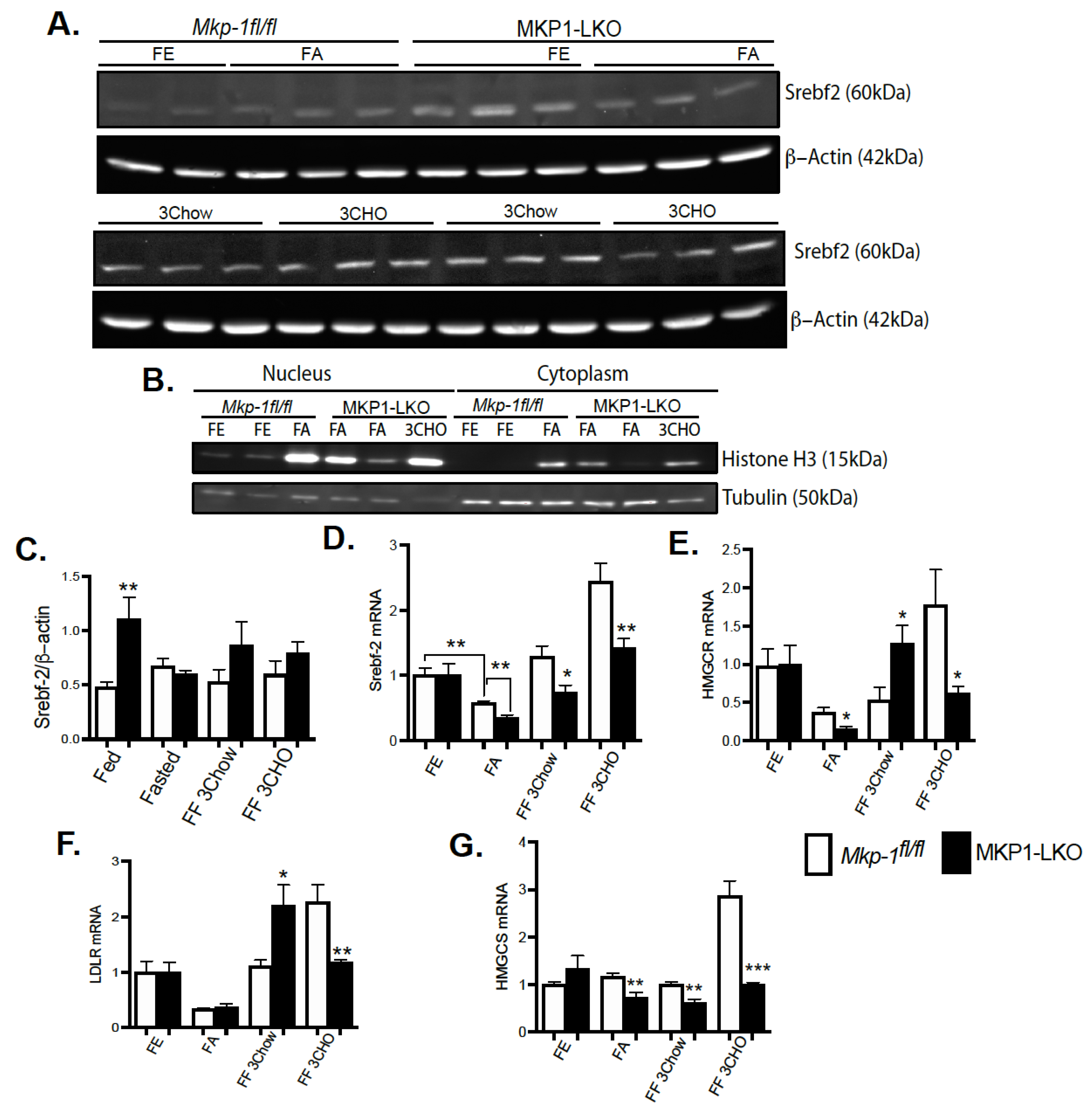 Nutrients 13 03941 g004