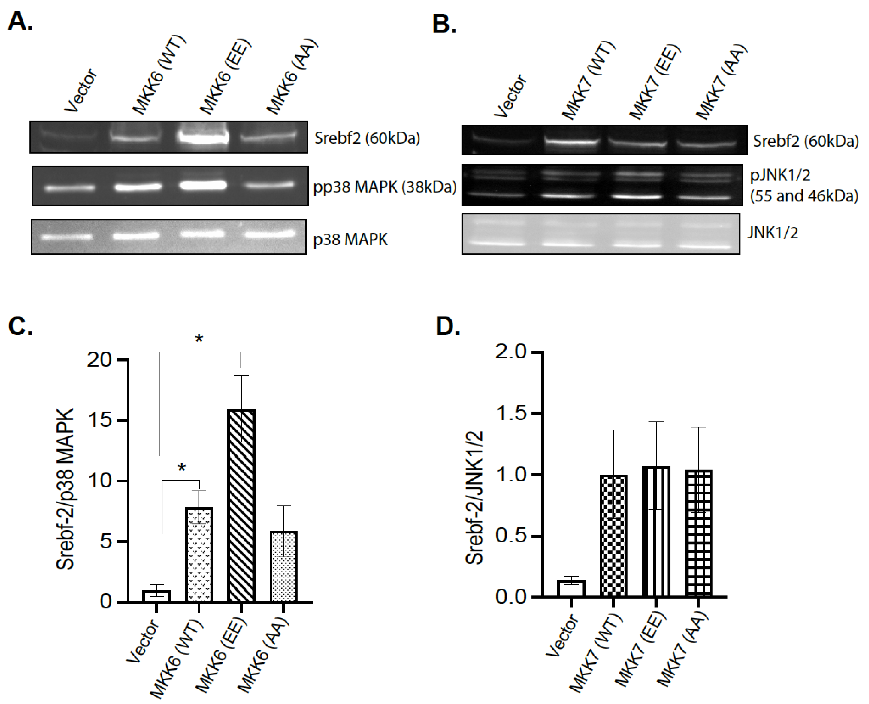 Nutrients 13 03941 g007