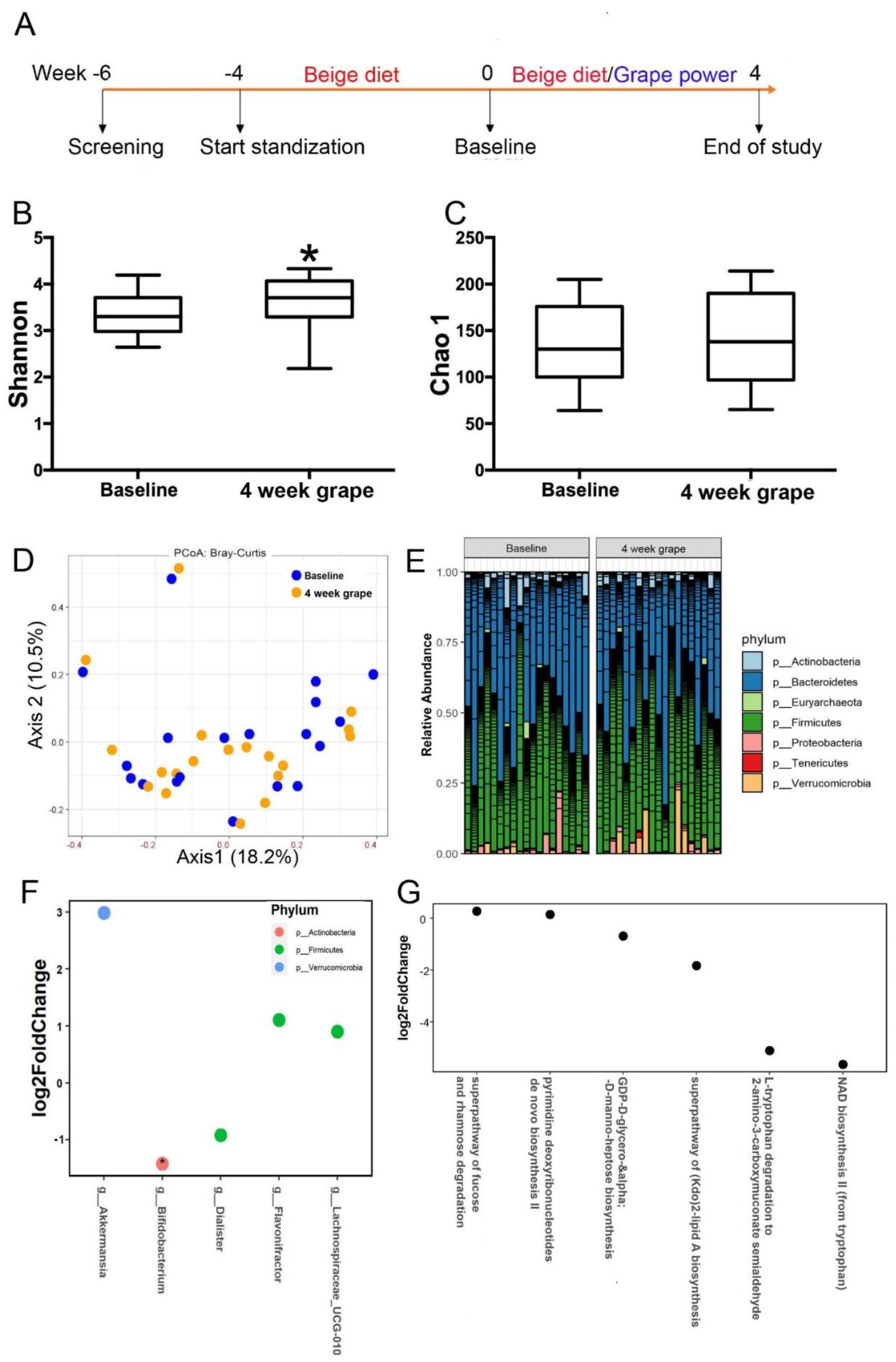 Nutrients 13 03965 g001
